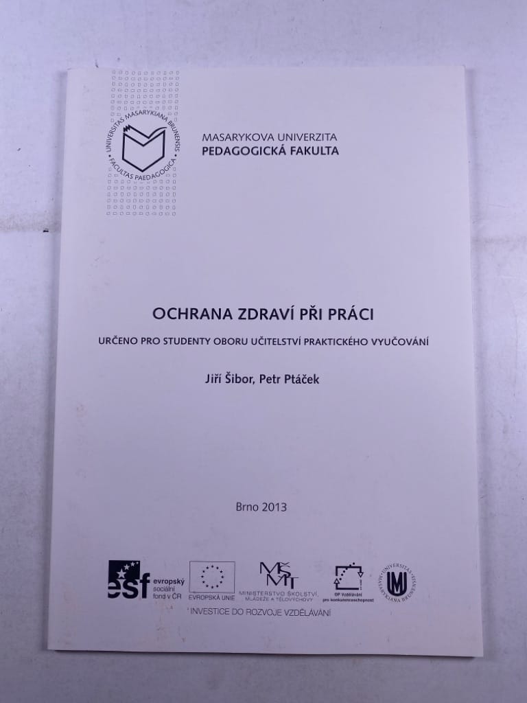 Levně Ochrana zdraví při práci :určeno pro studenty oboru Učitelství praktického vyučování
