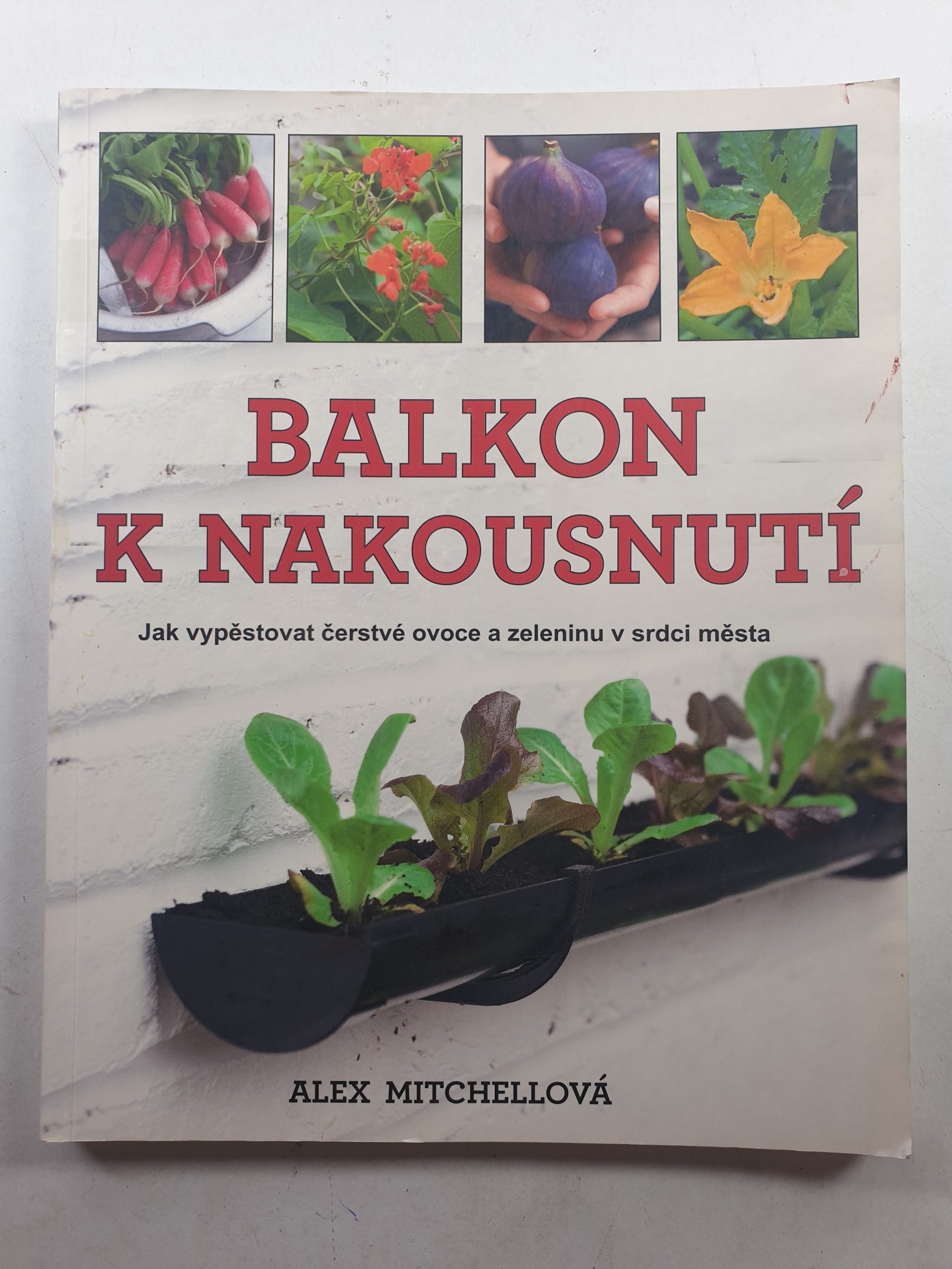 Levně Balkon k nakousnutí