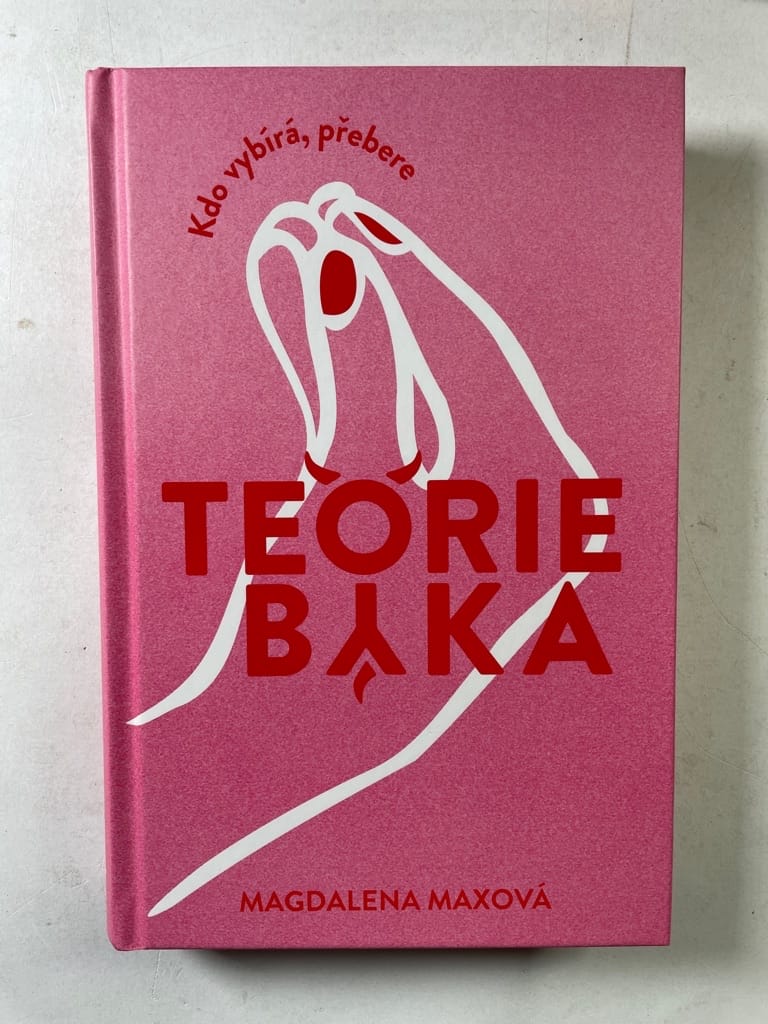 Teorie býka