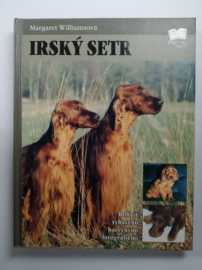 Levně Irský setr