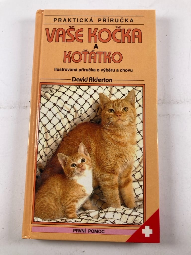 Vaše kočka a koťátko