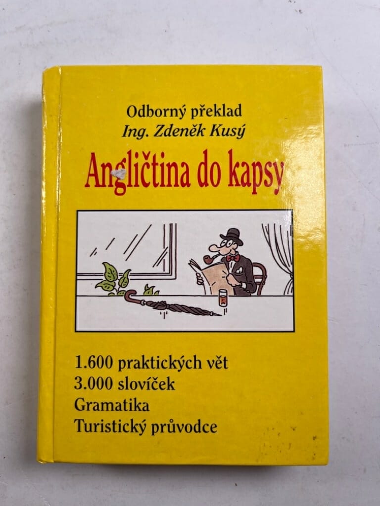 Levně Angličtina do kapsy Pevná