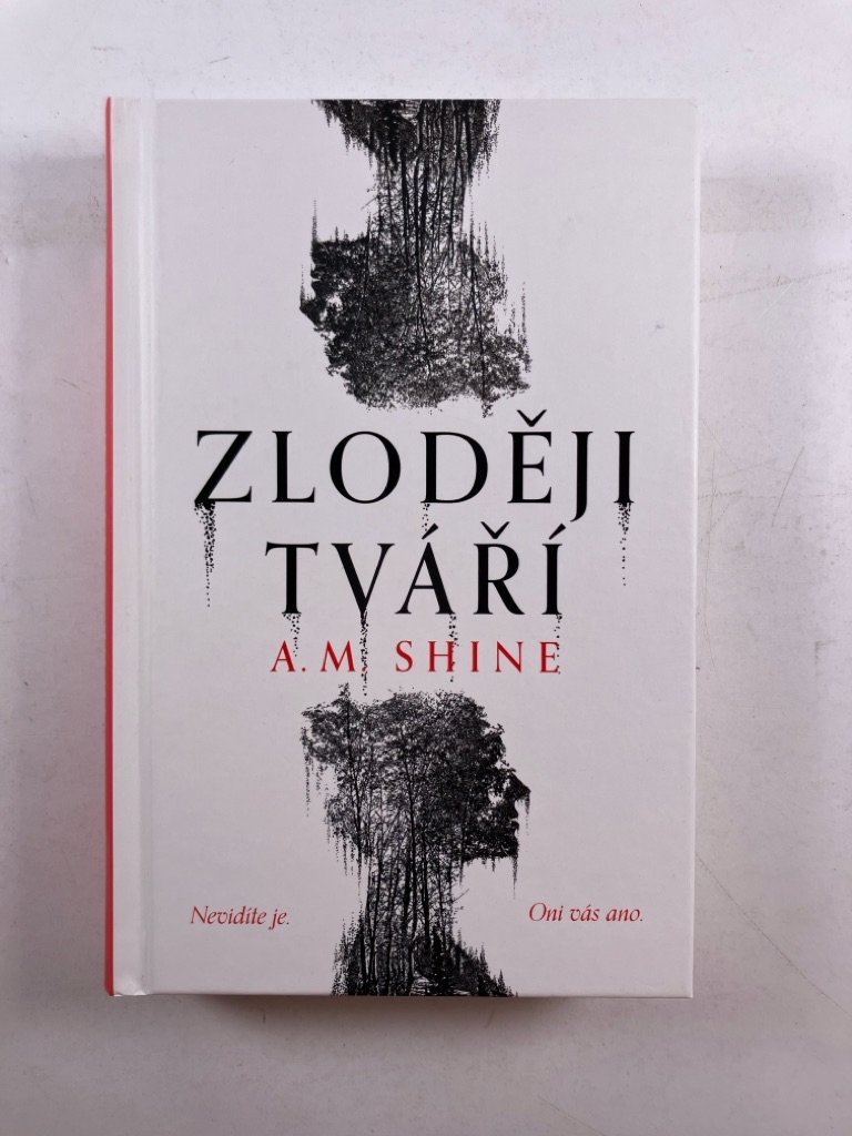 Levně Zloději tváří