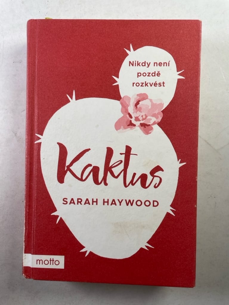 Kaktus Bez obalu (2018)