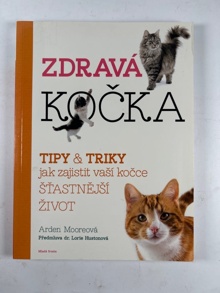 Zdravá kočka