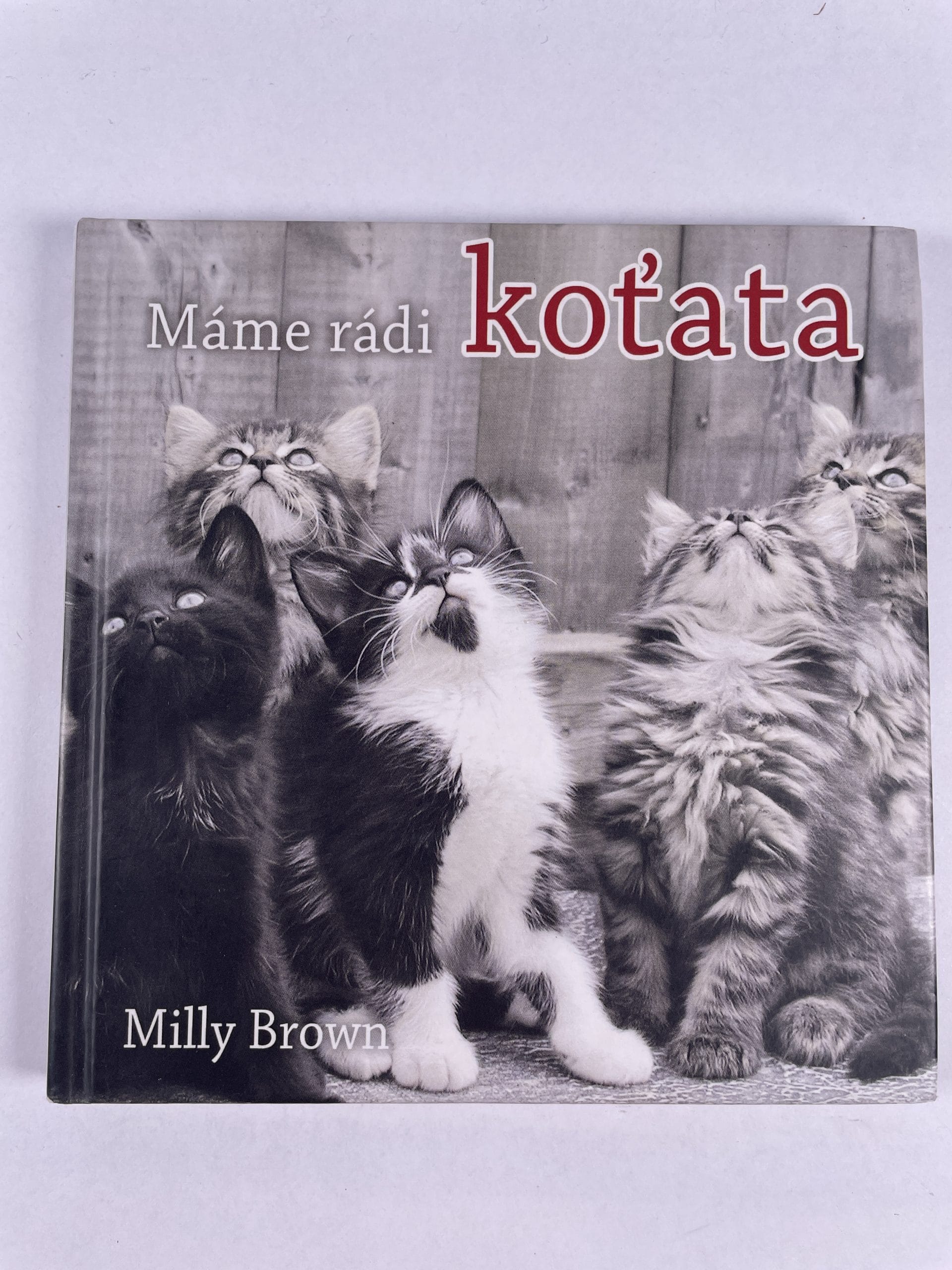 Levně Máme rádi koťata Pevná (2009)