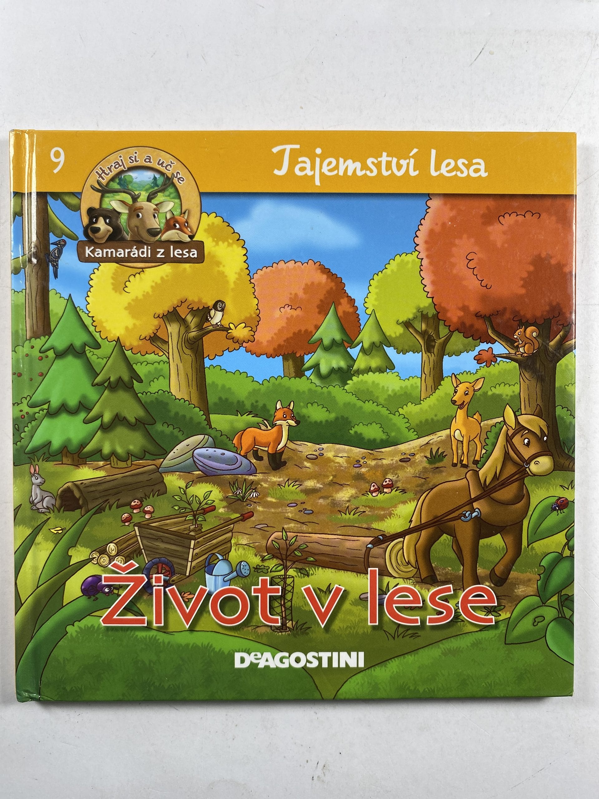 Levně Tajemství lesa: Život v lese (9) Pevná 2