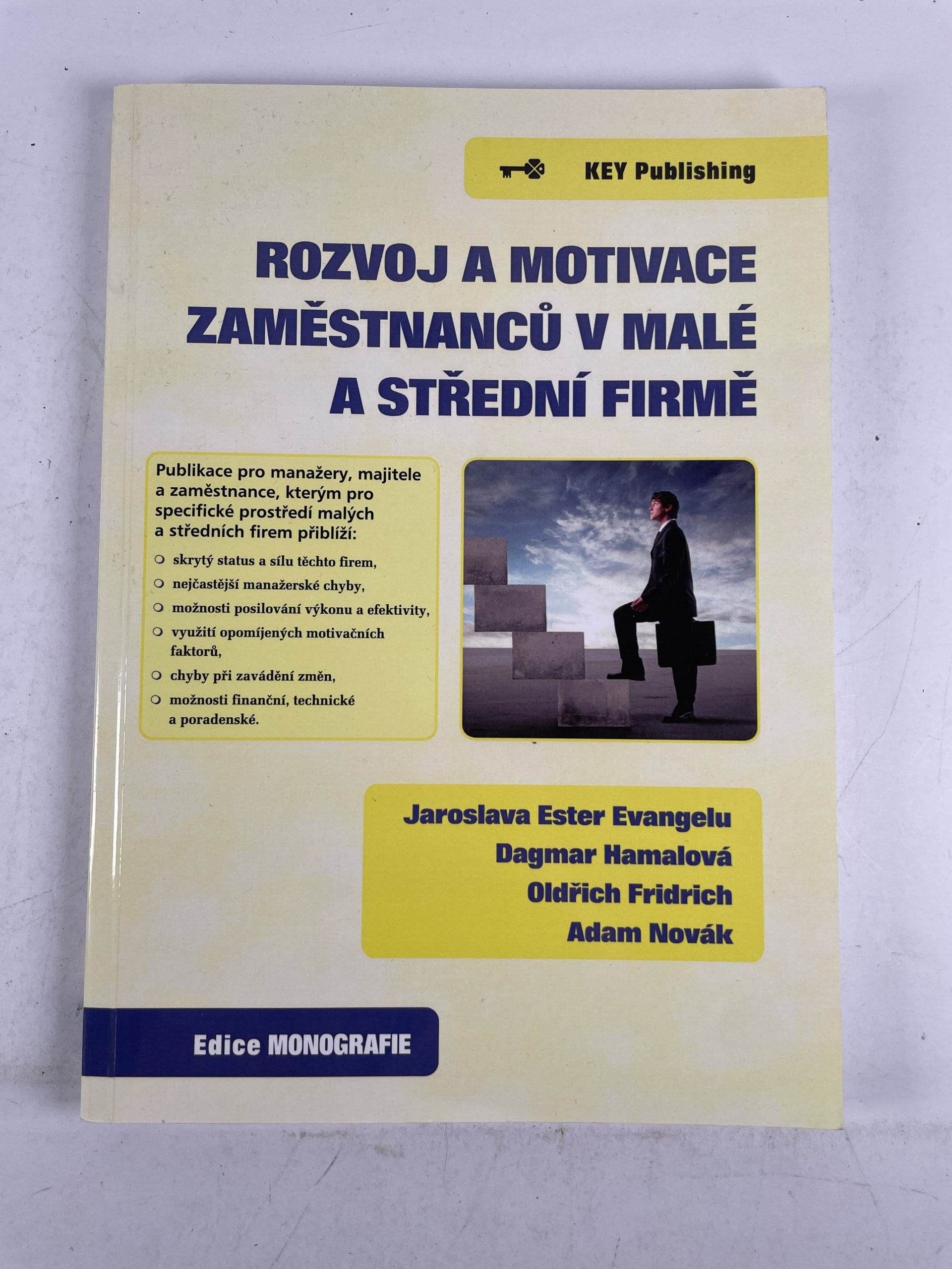 Levně Rozvoj a motivace zaměstnanců v malé a střední firmě