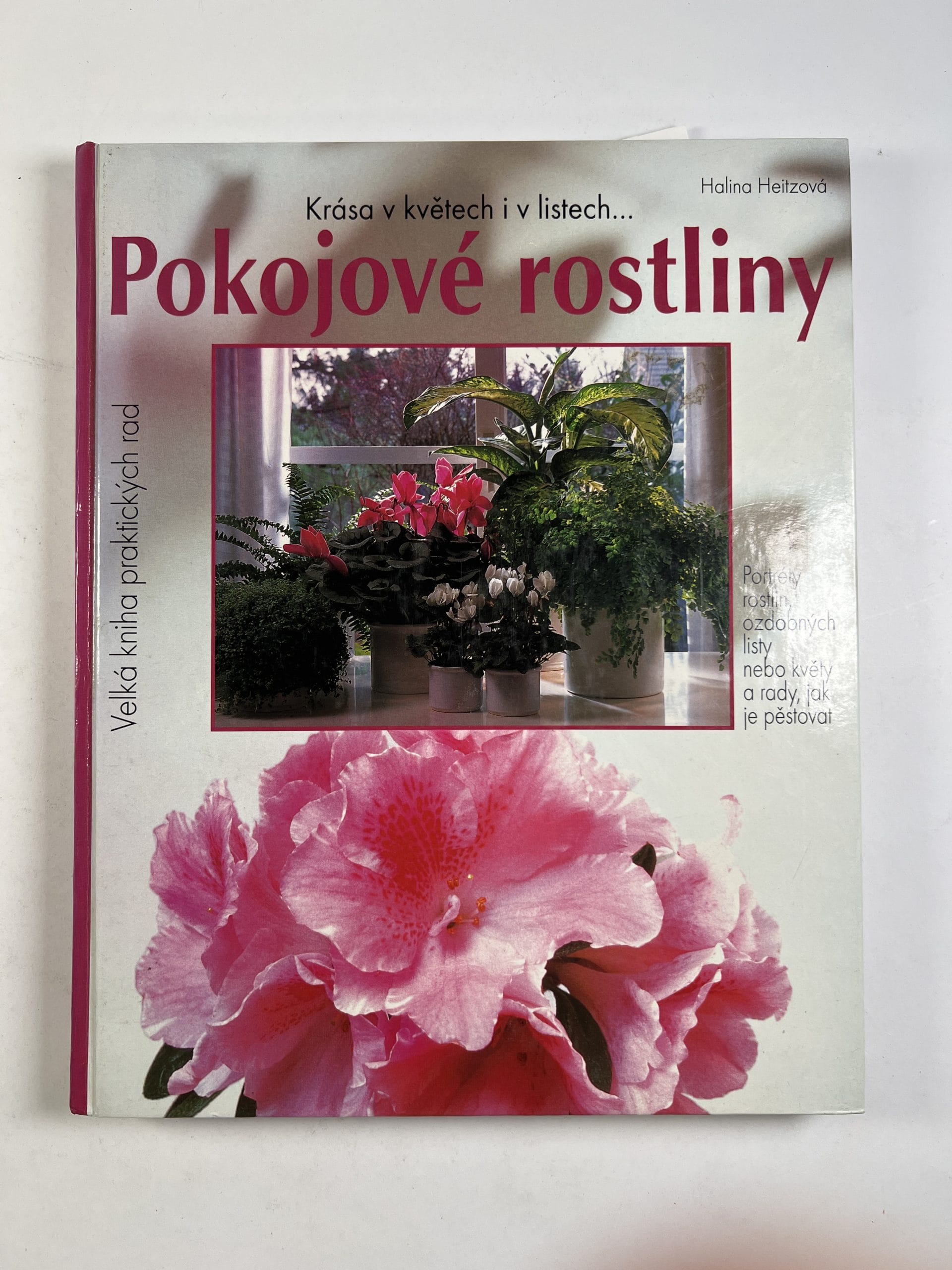 Levně Krása v květech i v listech: Pokojové rostliny