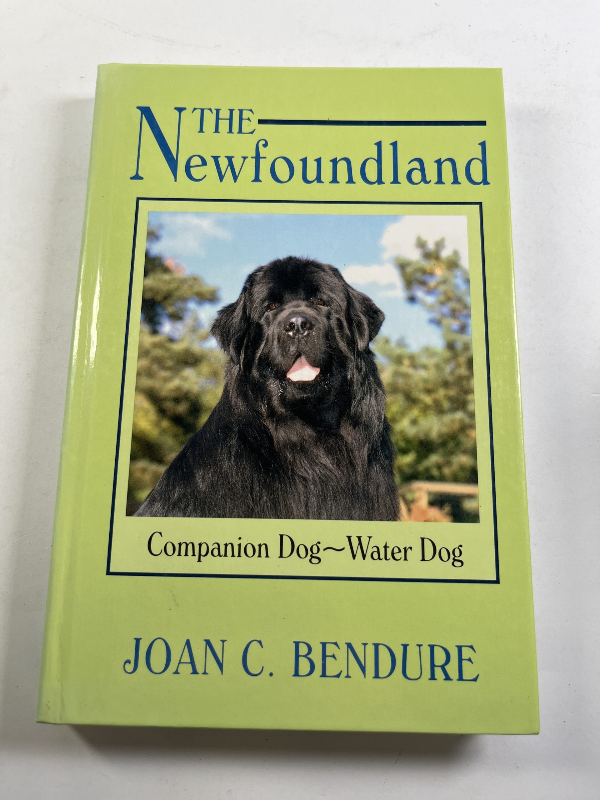 Levně The Newfound land (Companion Dog - Water Dog)