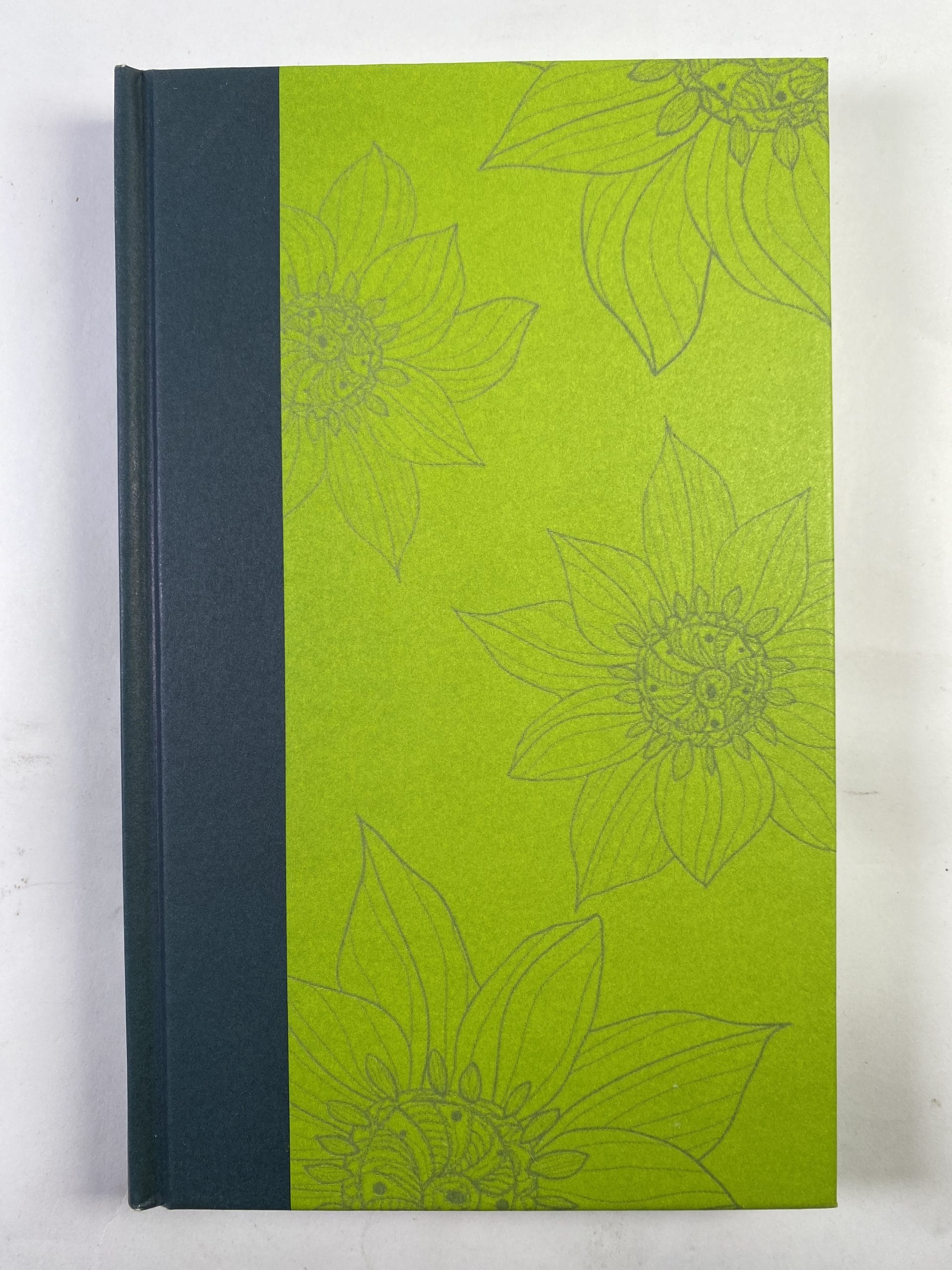 Nejsem namalovaná! Pevná (2015 - bez obalu)