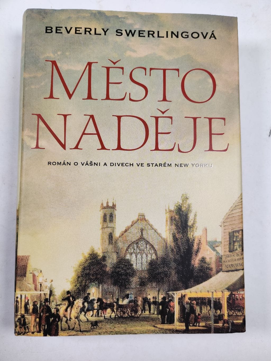 Město naděje Pevná (2010)