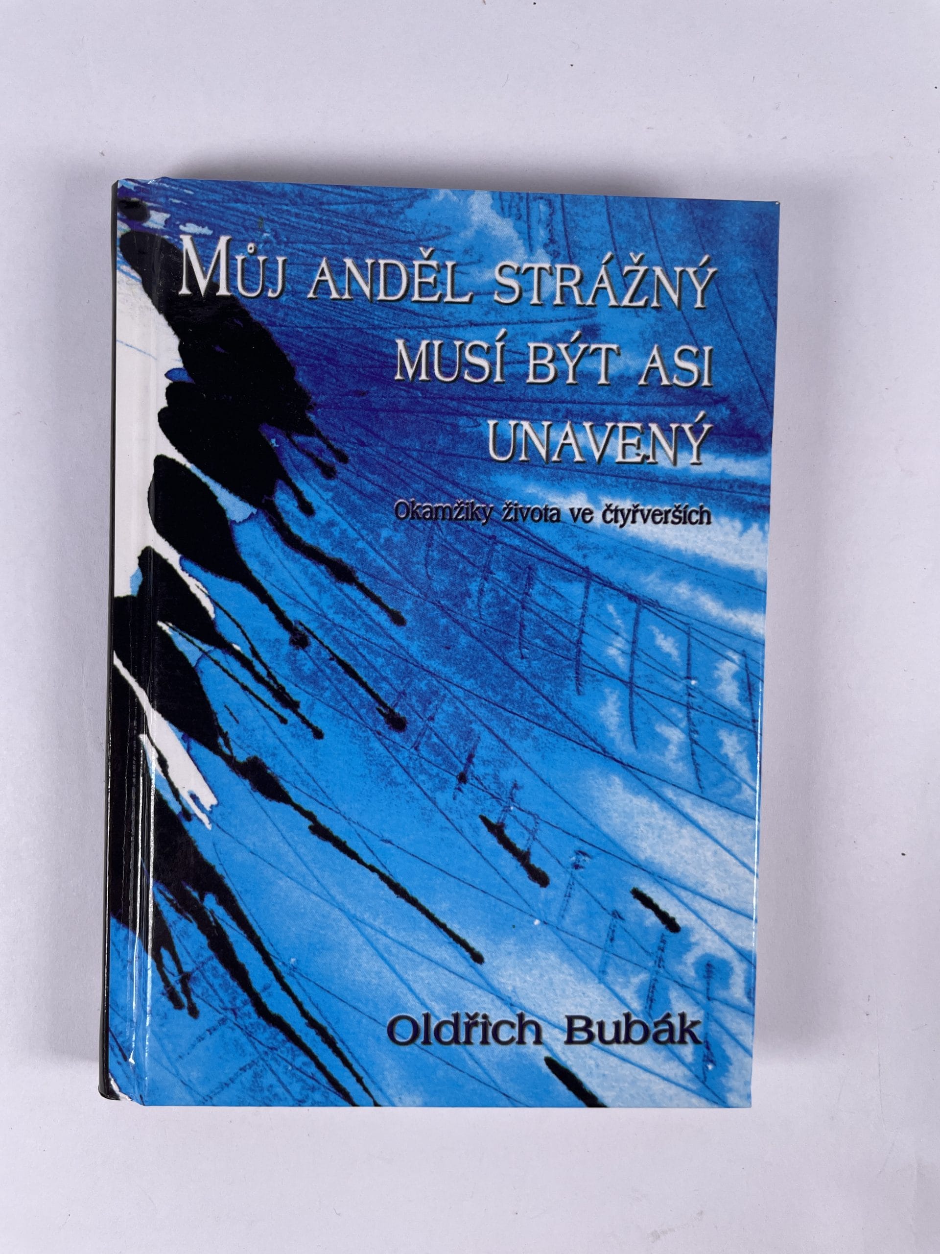 Levně Můj anděl strážný musí být asi unavený: (okamžiky života ve čtyřverších)