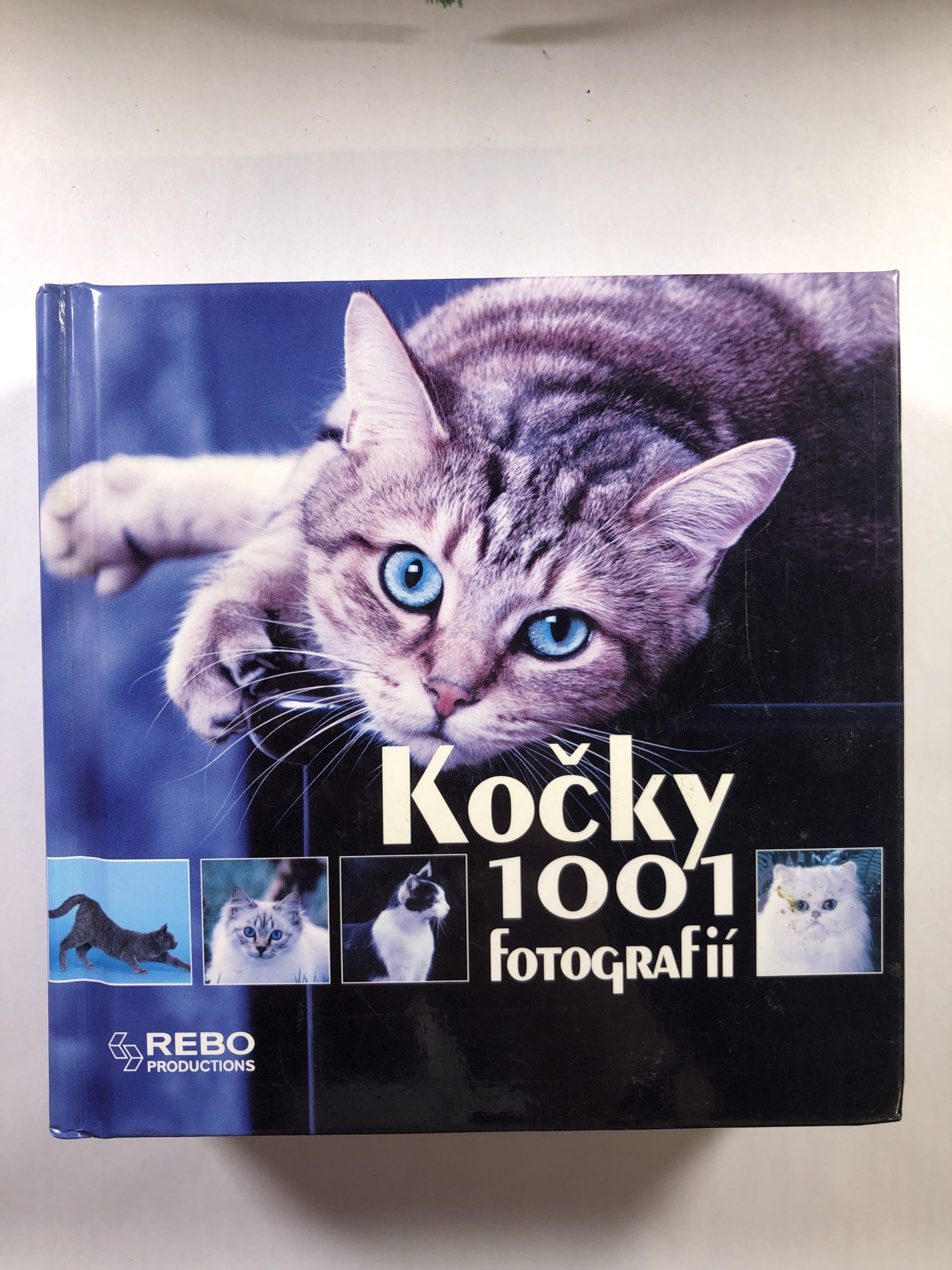 Levně Kočky: 1001 fotografií