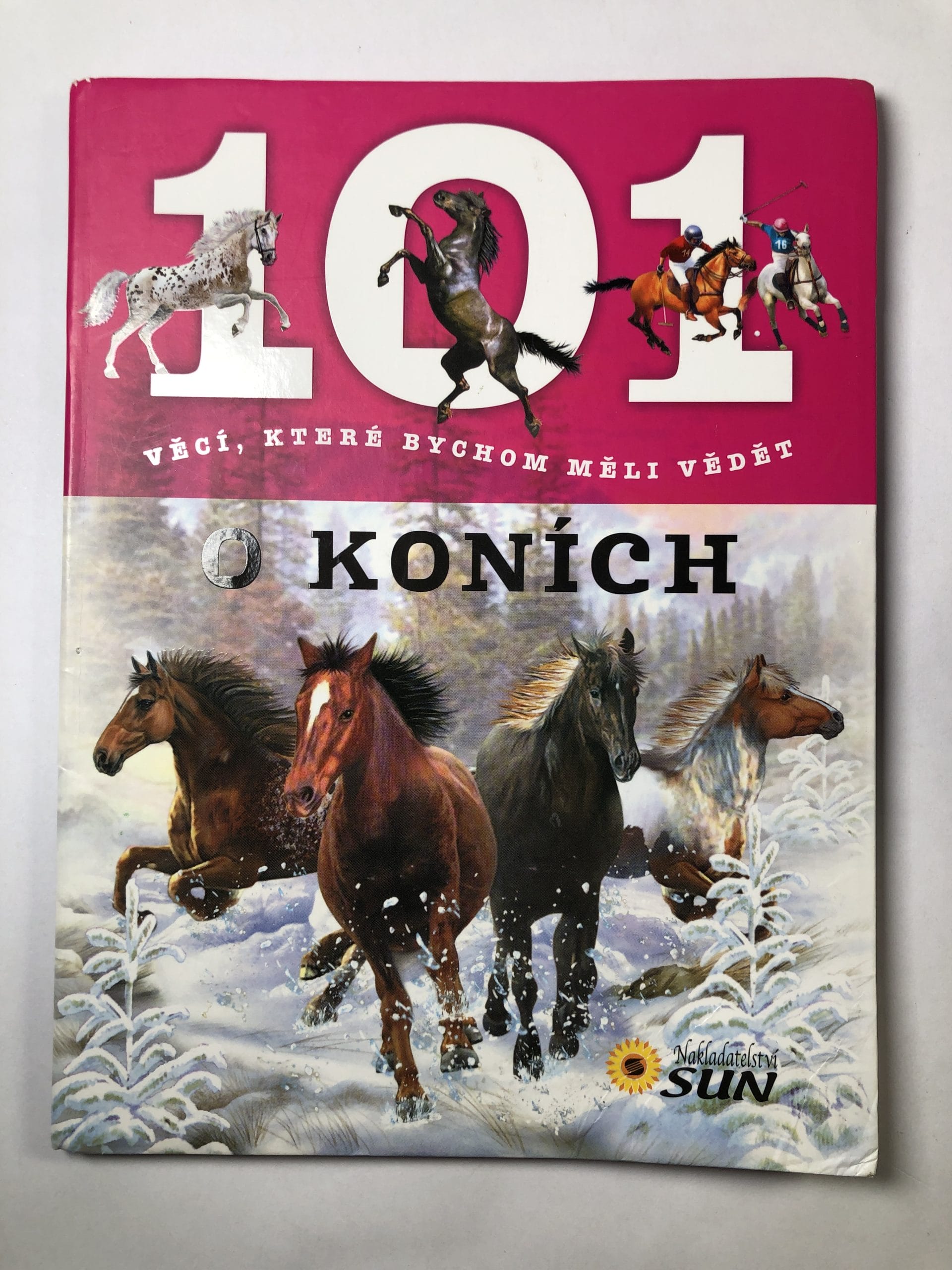 101 věcí, které bychom měli vědět o koních