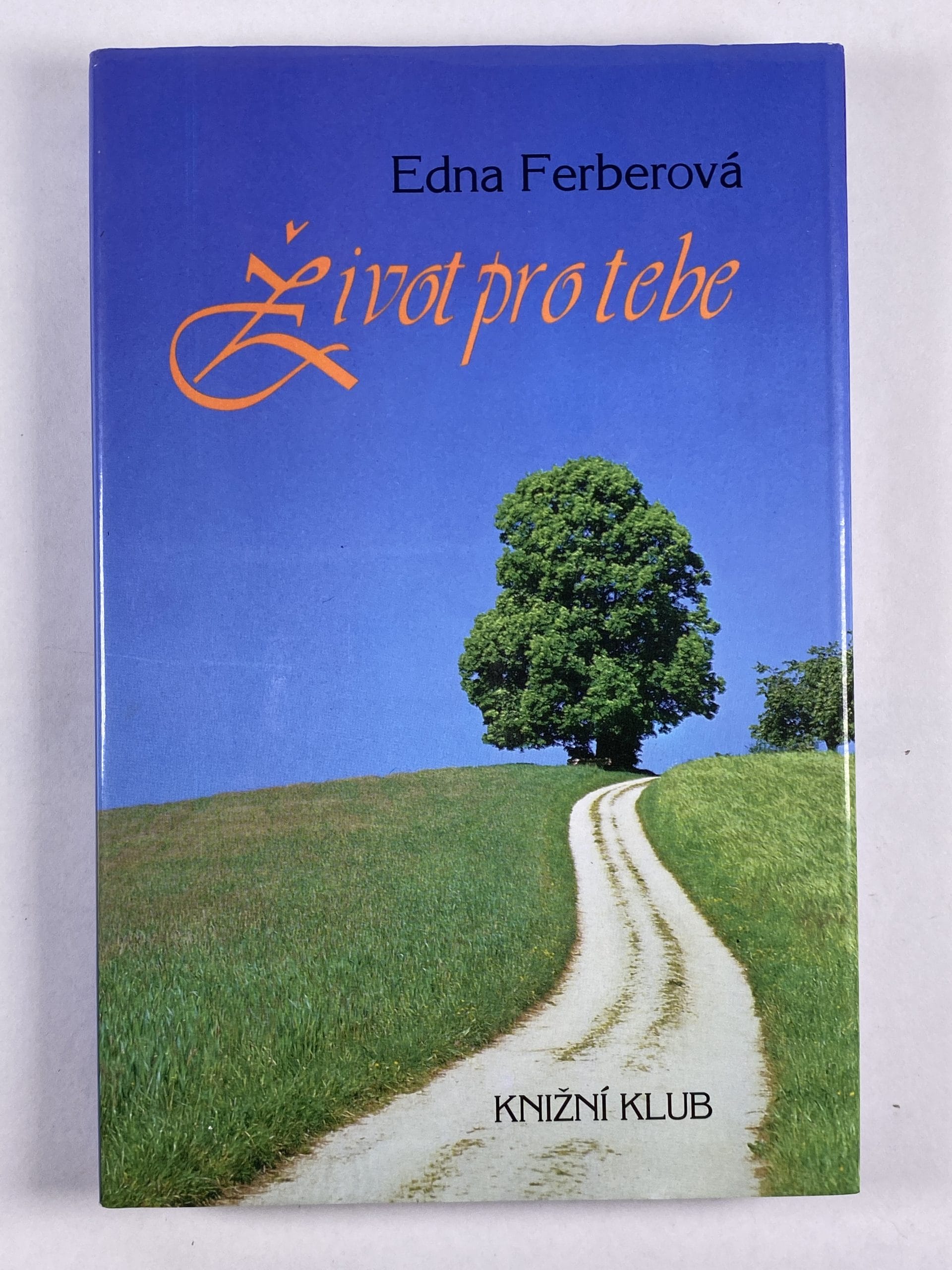 Levně Život pro tebe Pevná (1993)