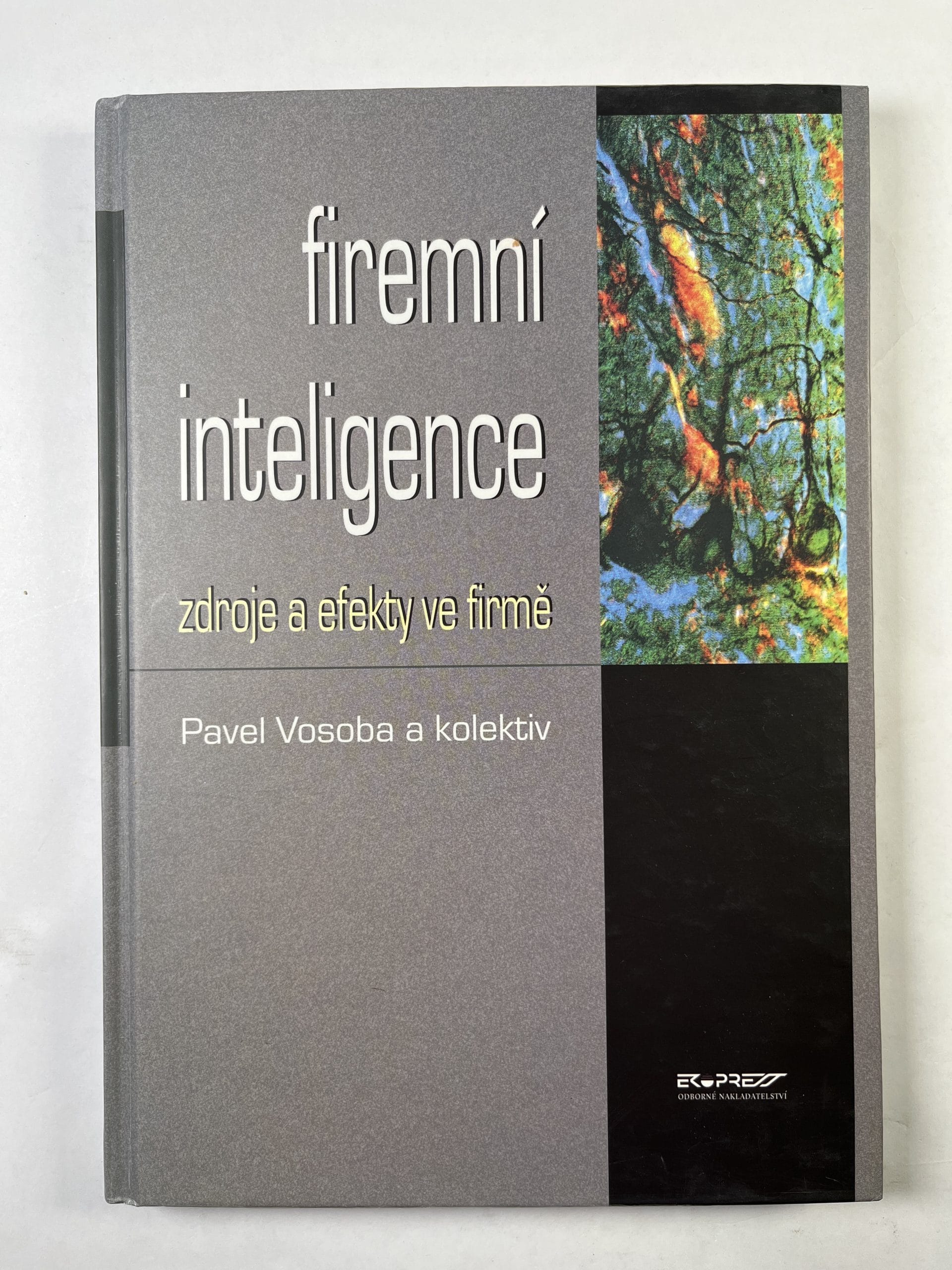 Levně Firemní inteligence: zdroje a efekty ve filmě