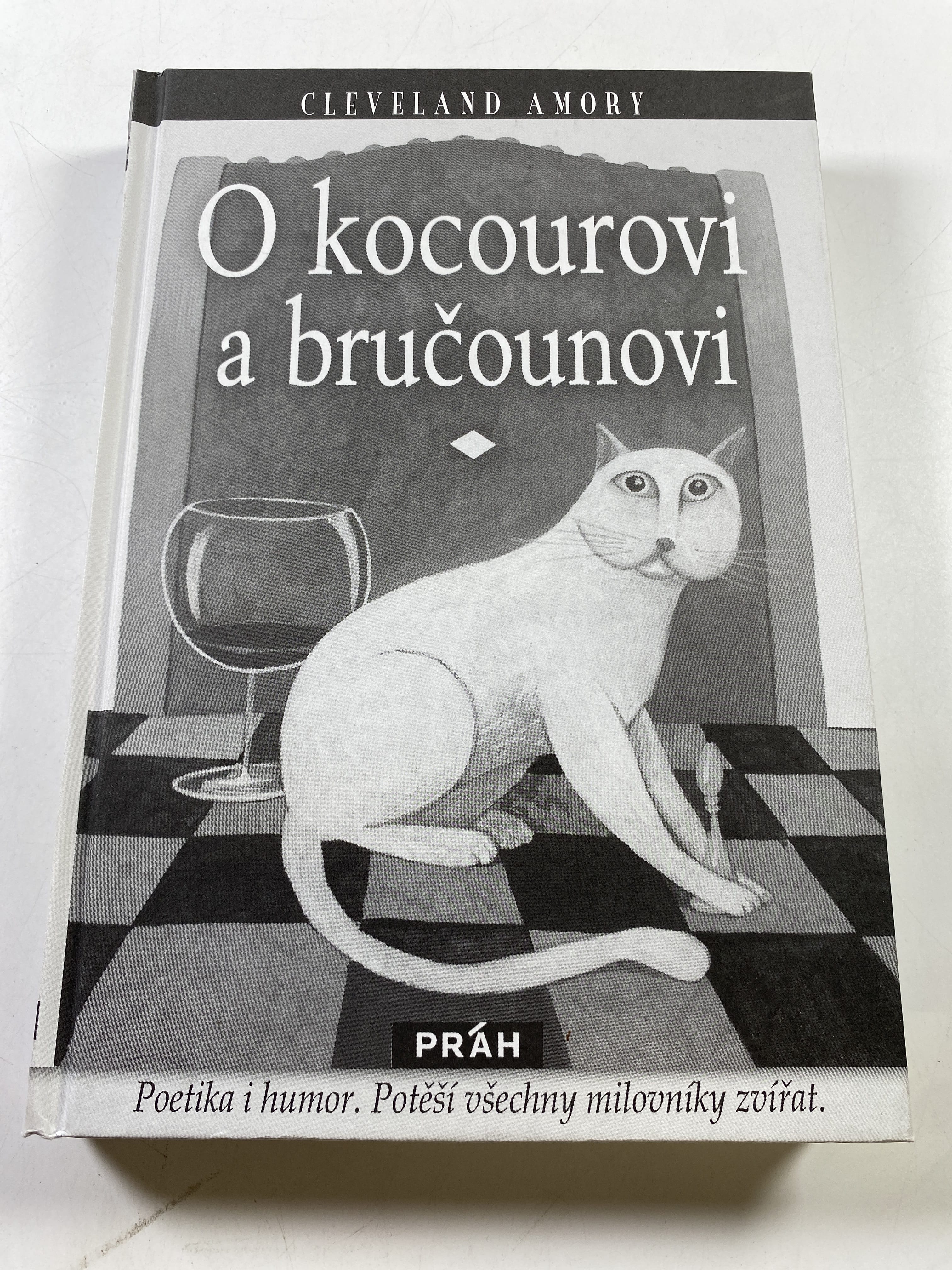 O kocourovi a bručounovi Bez obalu (2010)