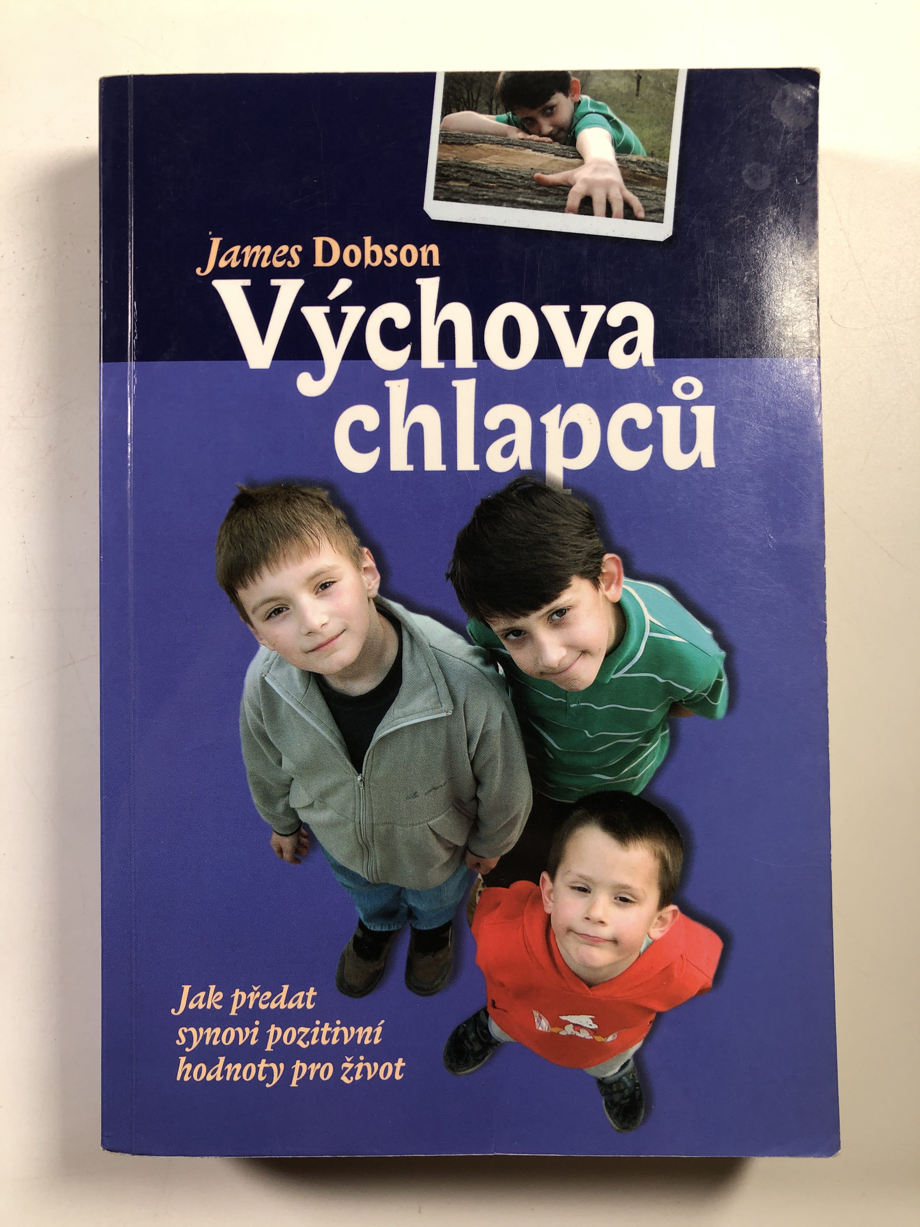 Levně Výchova chlapců