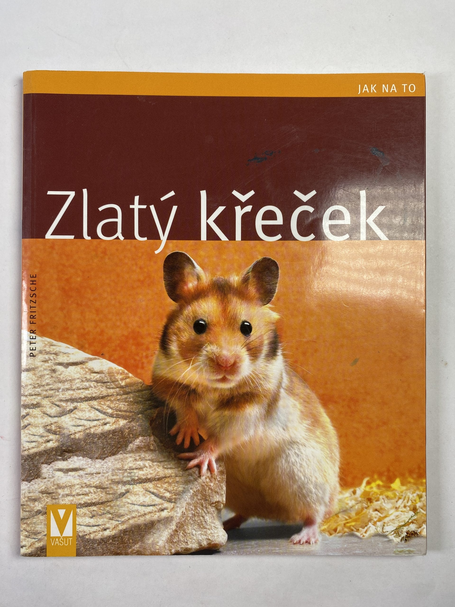 Zlatý křeček