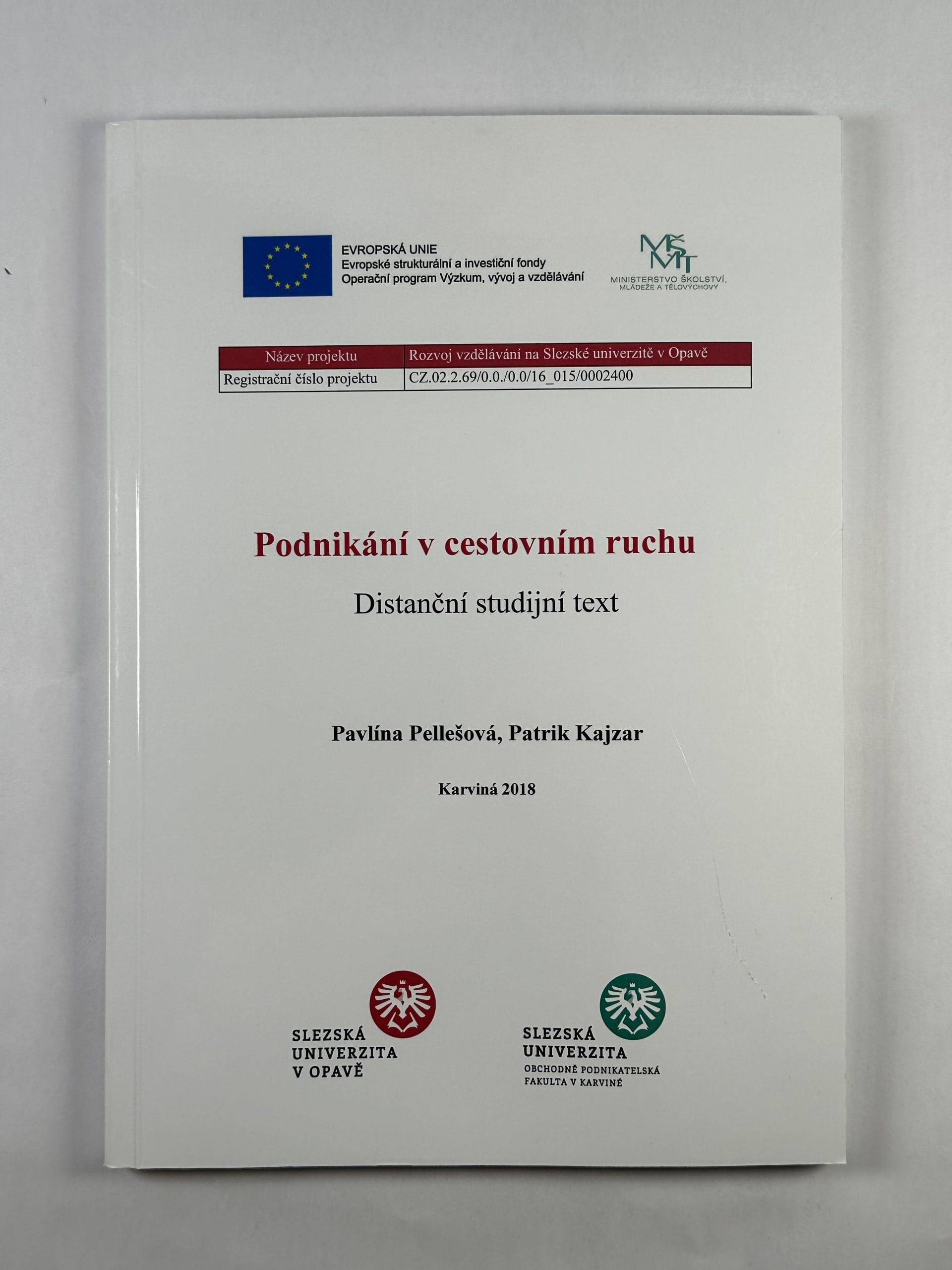 Levně Podnikání v cestovním ruchu