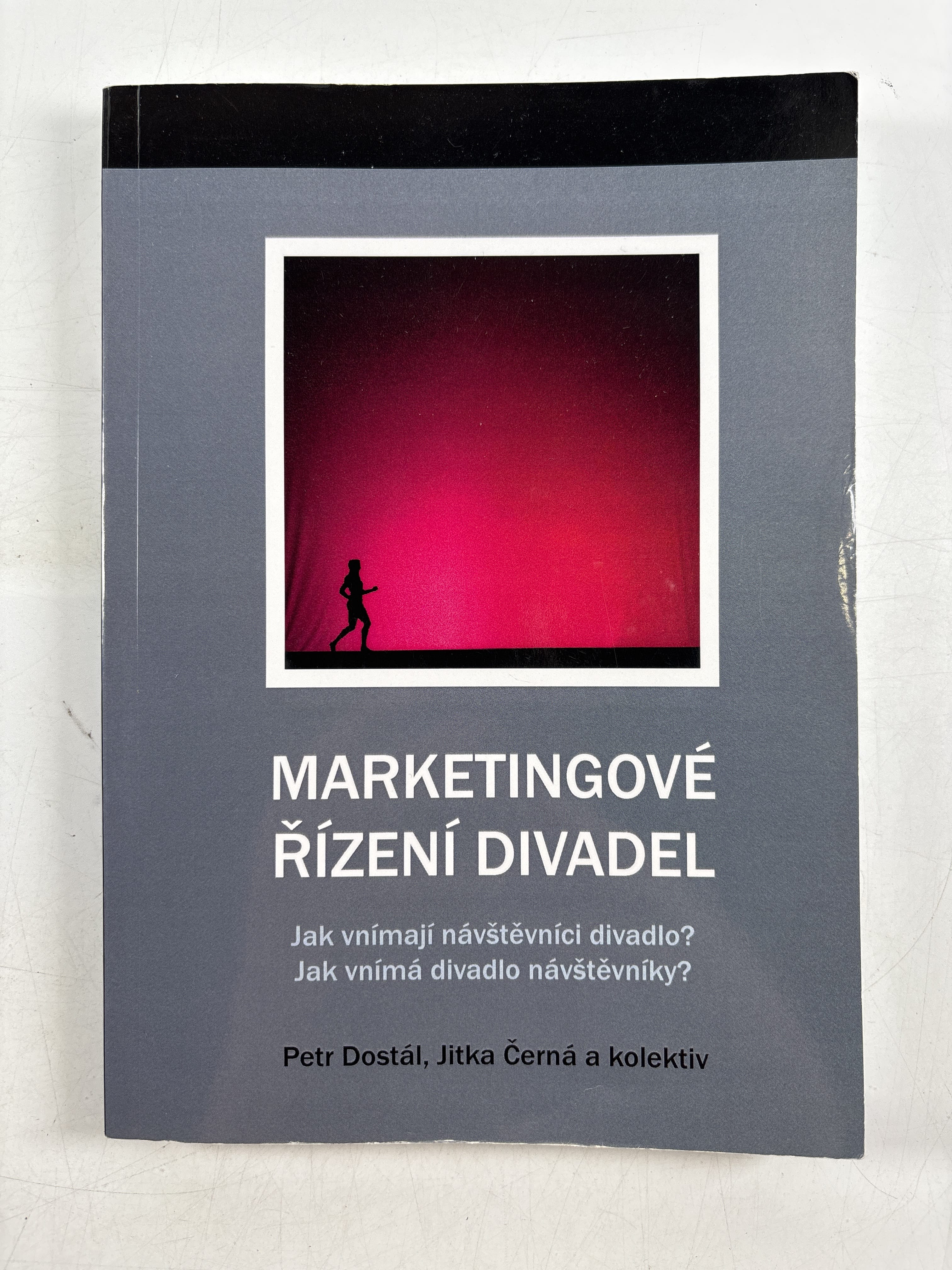 Levně Marketingové řízení divadel