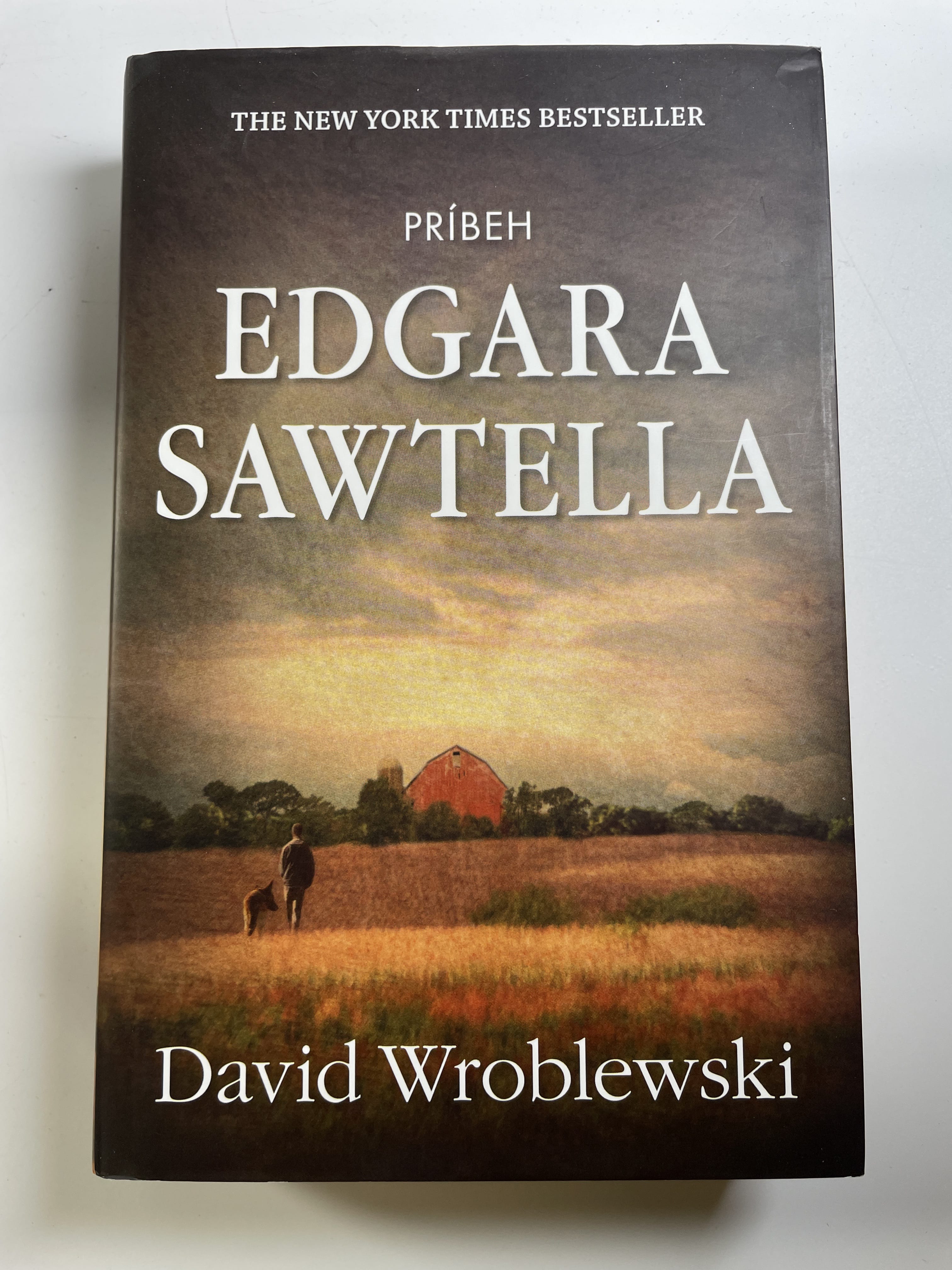 Levně Príbeh Edgara Sawtella