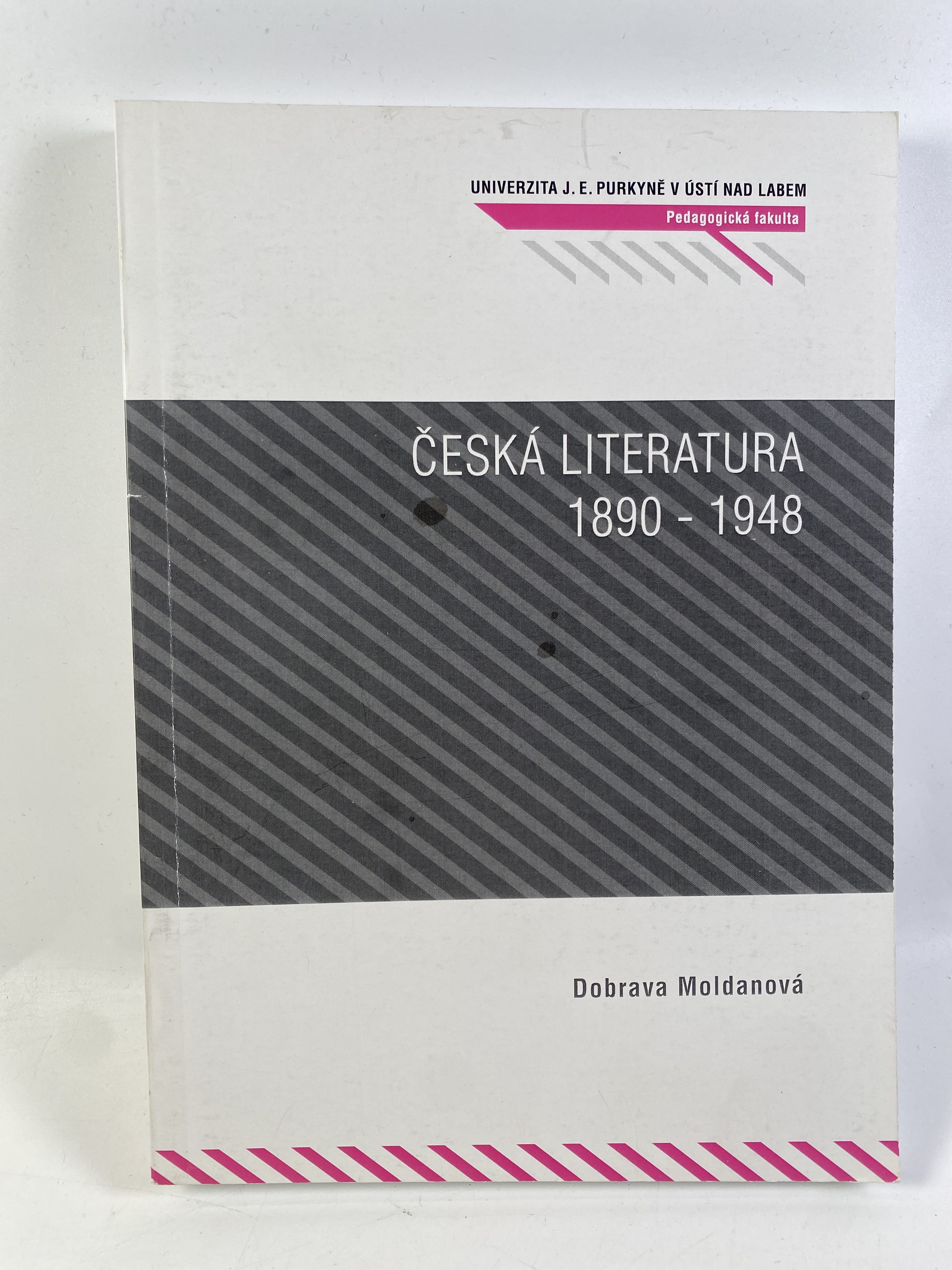 Levně Česká literatura 1890-1948