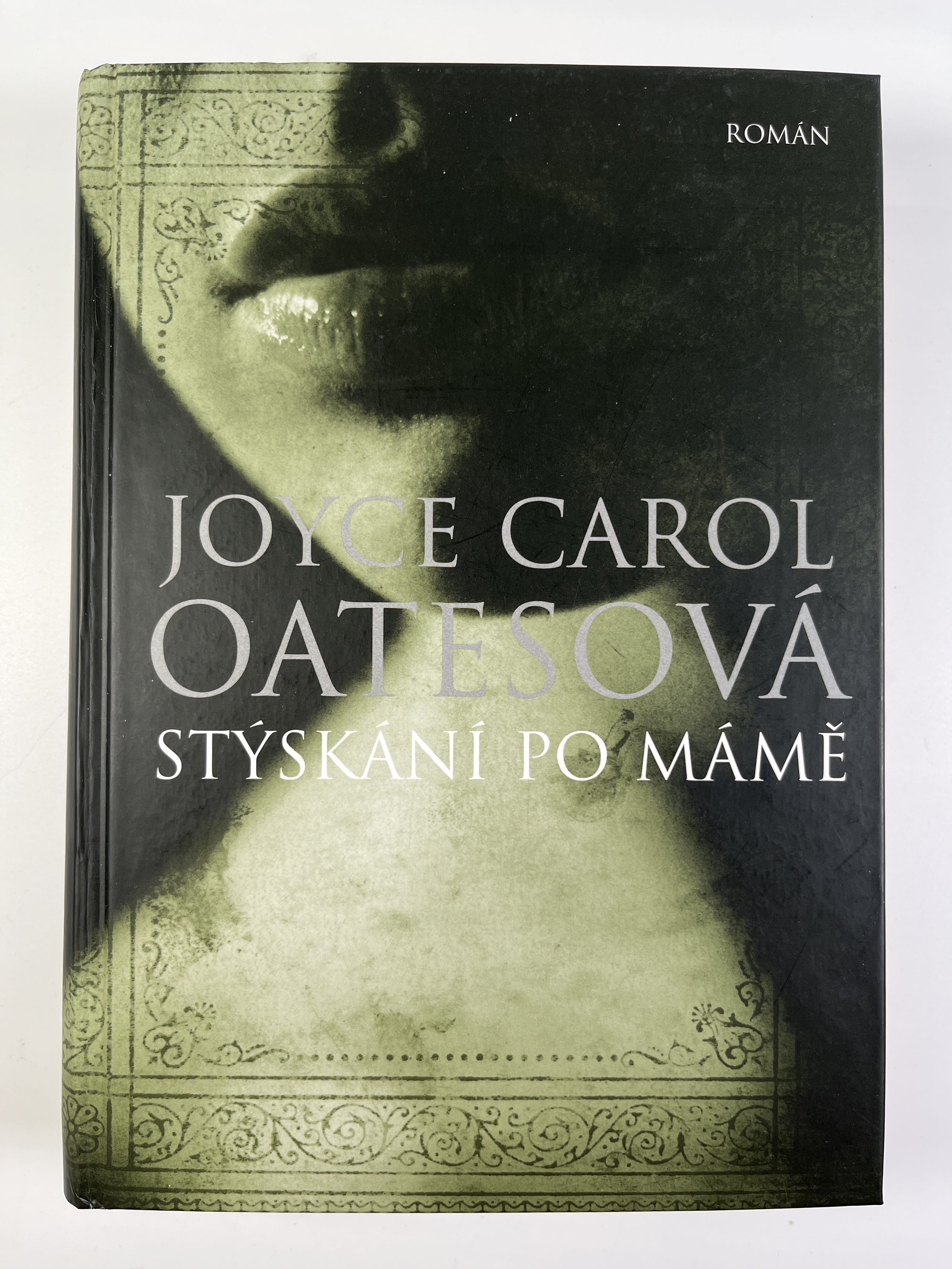 Stýskání po mámě Pevná 2