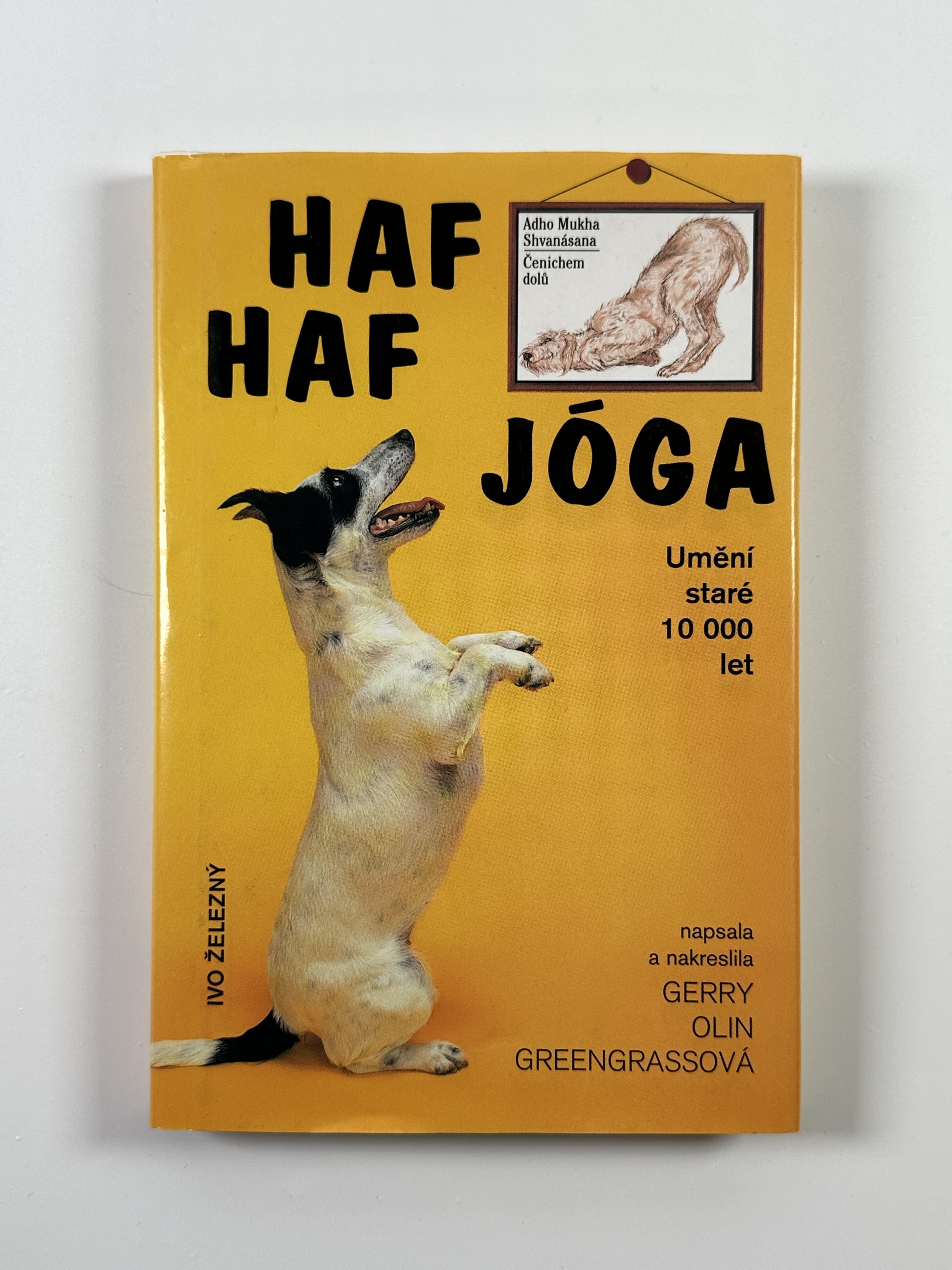 Levně Haf haf jóga: umění staré 10000 let