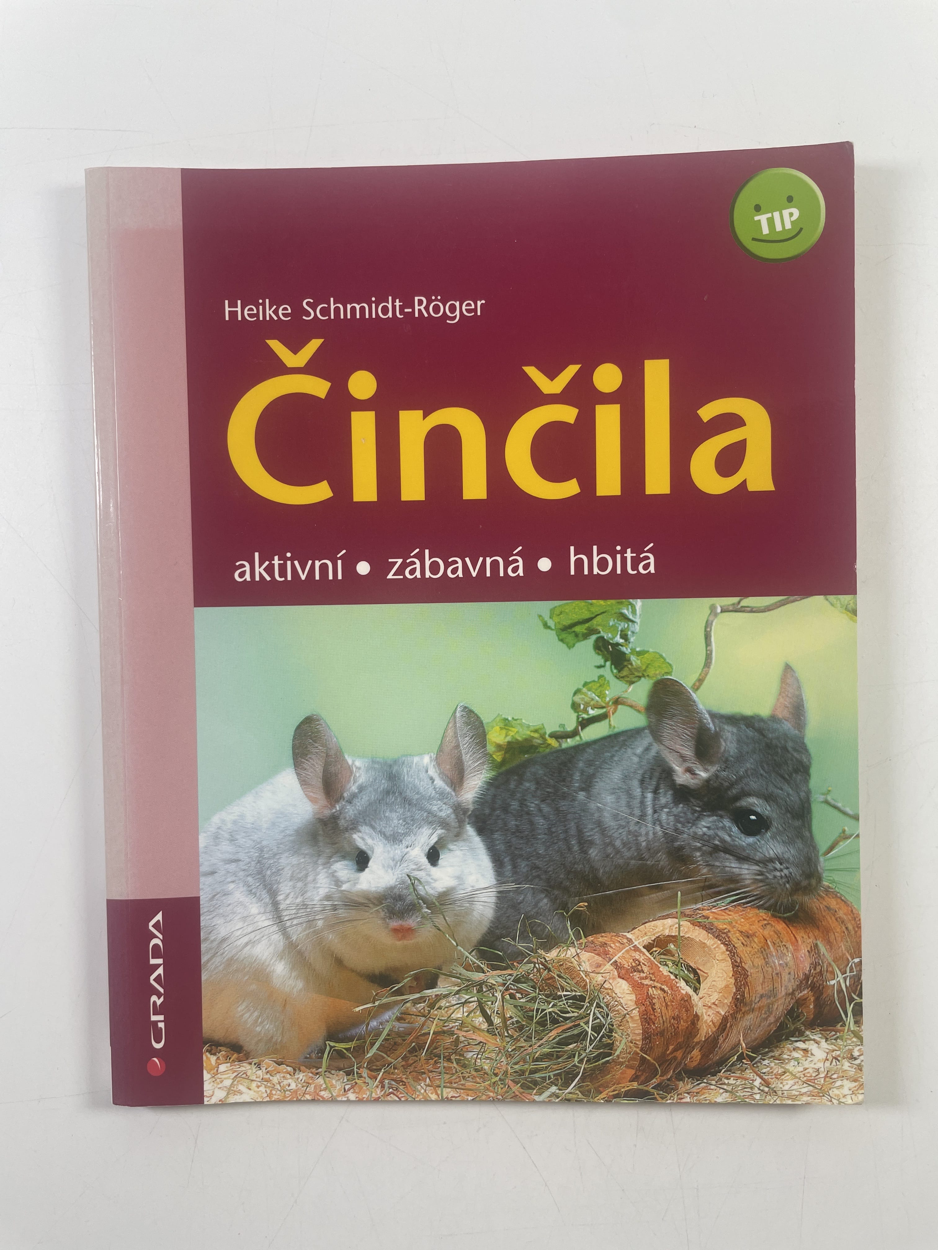 Levně Činčila: aktivní, zábavná, hbitá