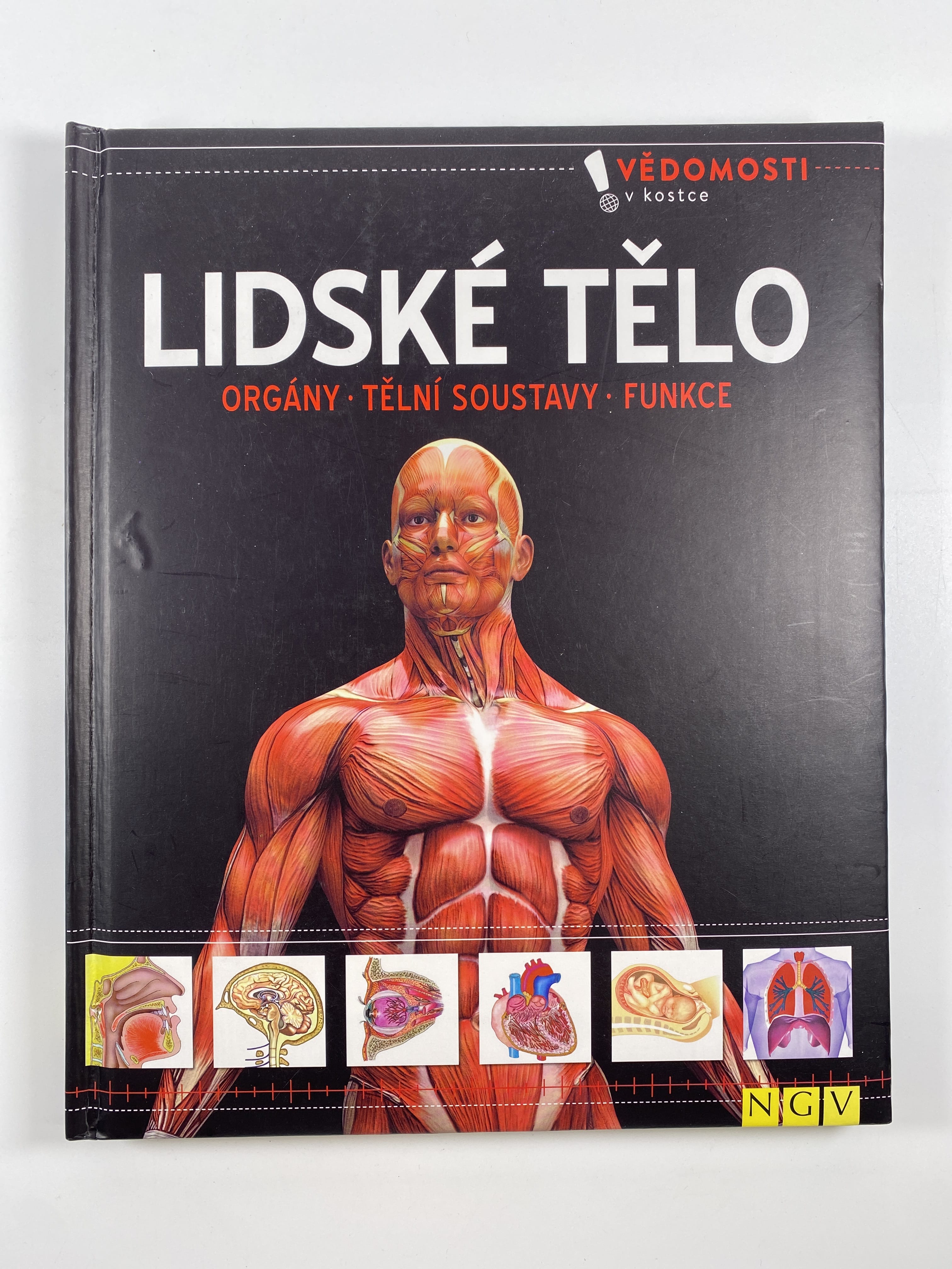 Levně Lidské tělo: orgány, tělní systémy, funkce Pevná 3