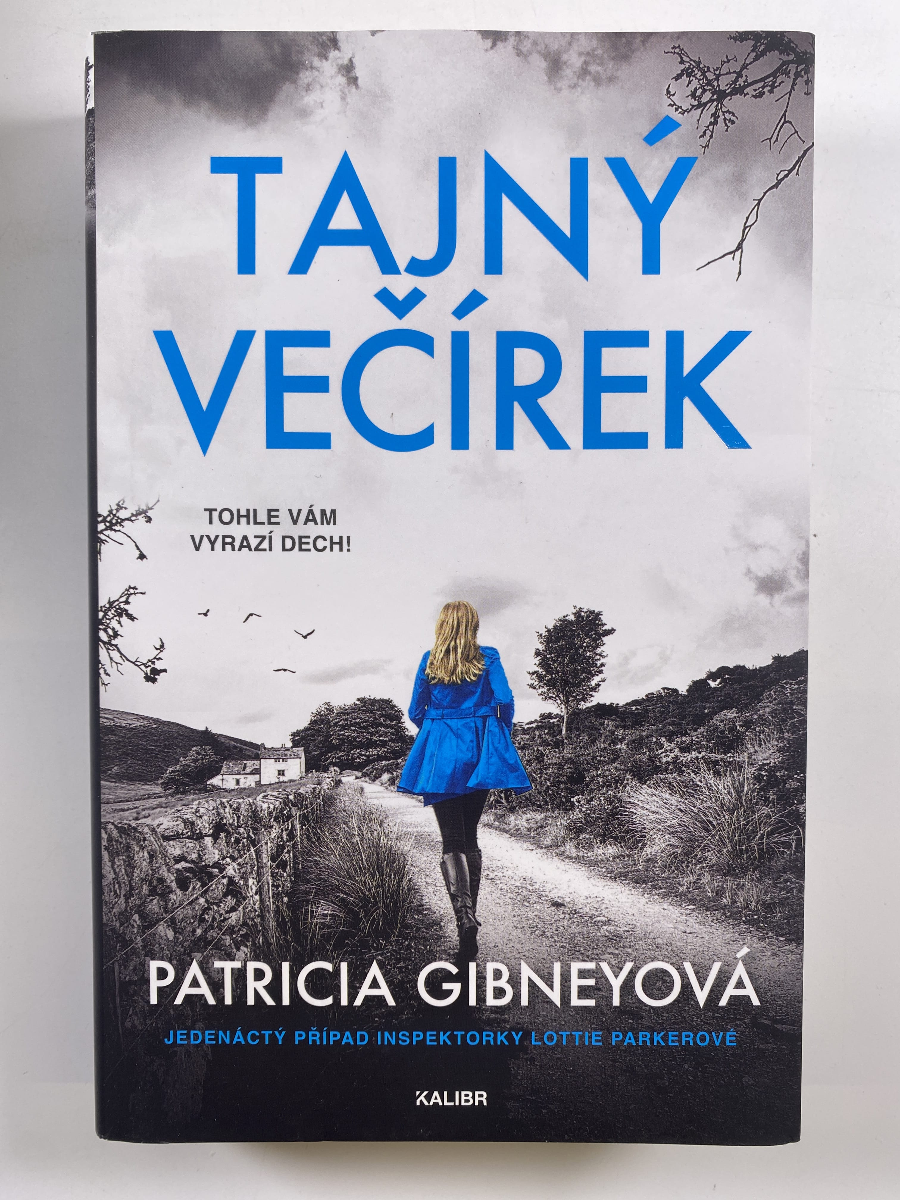 Inspektorka Lottie Parkerová: Tajný večírek (11)