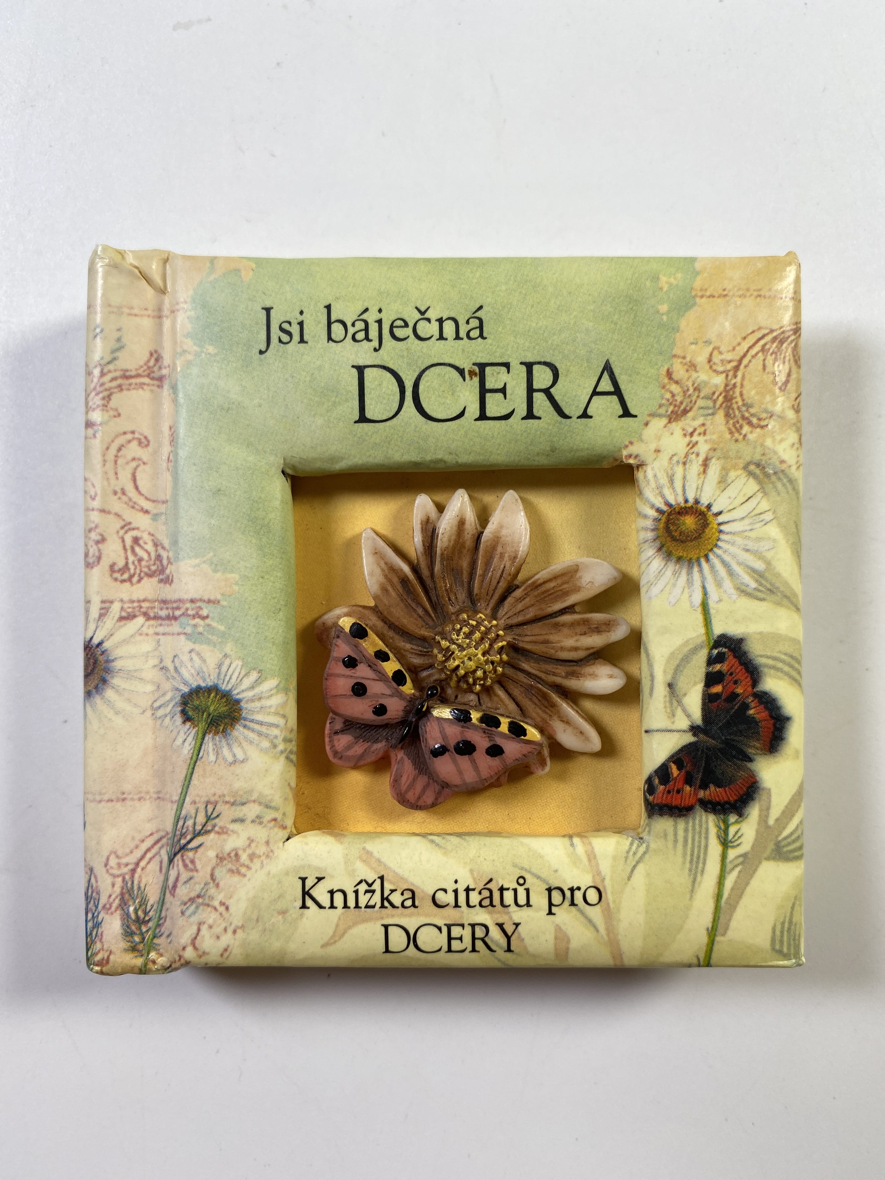 Levně Jsi báječná dcera: Knížka citátů pro DCERY