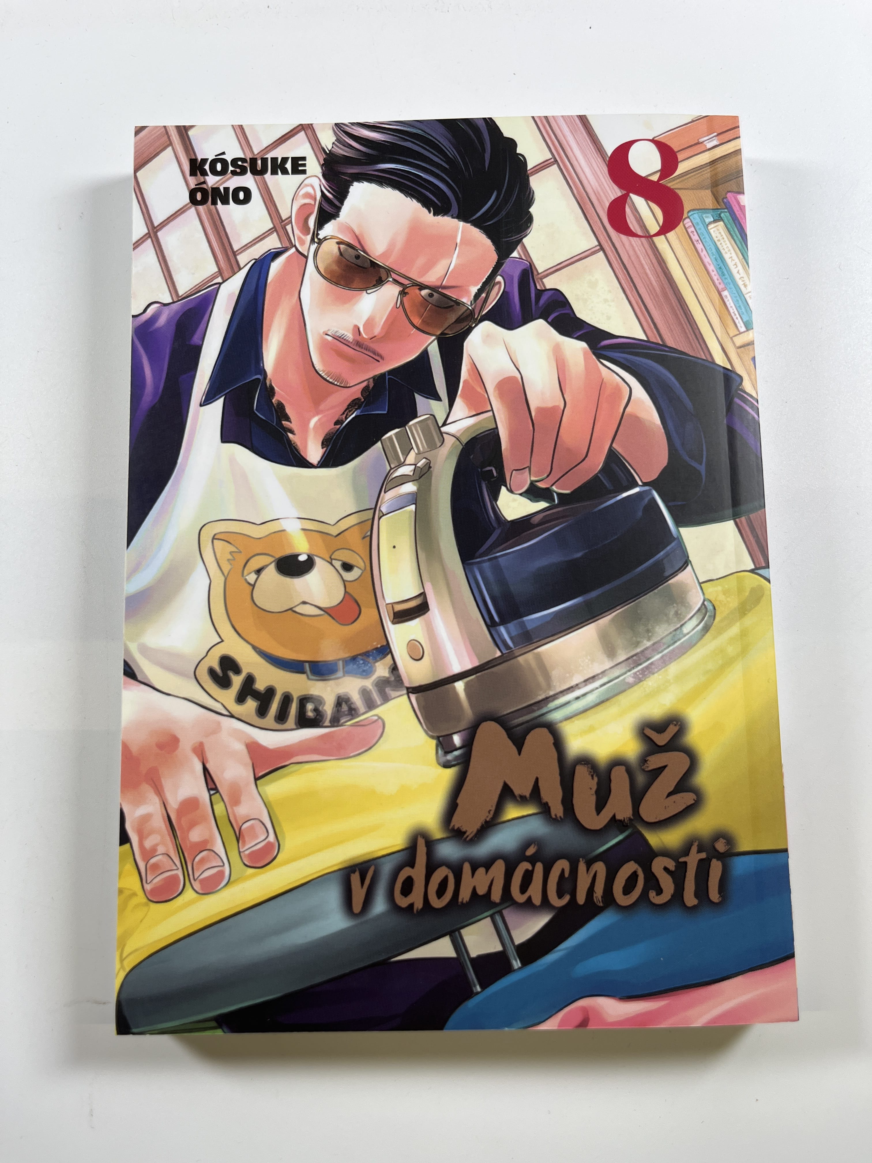 Levně Muž v domácnosti 8