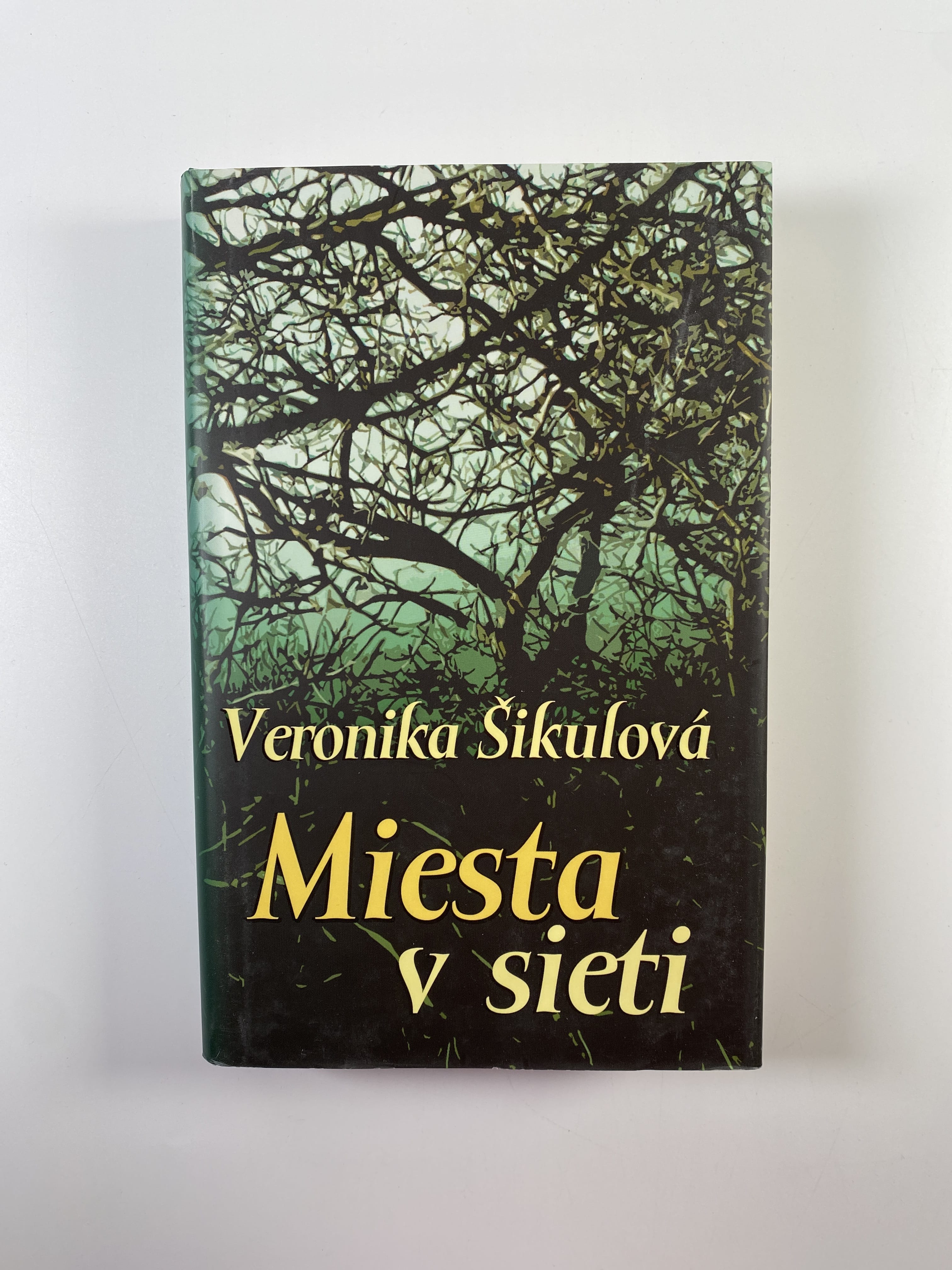 Levně Miesta v sieti