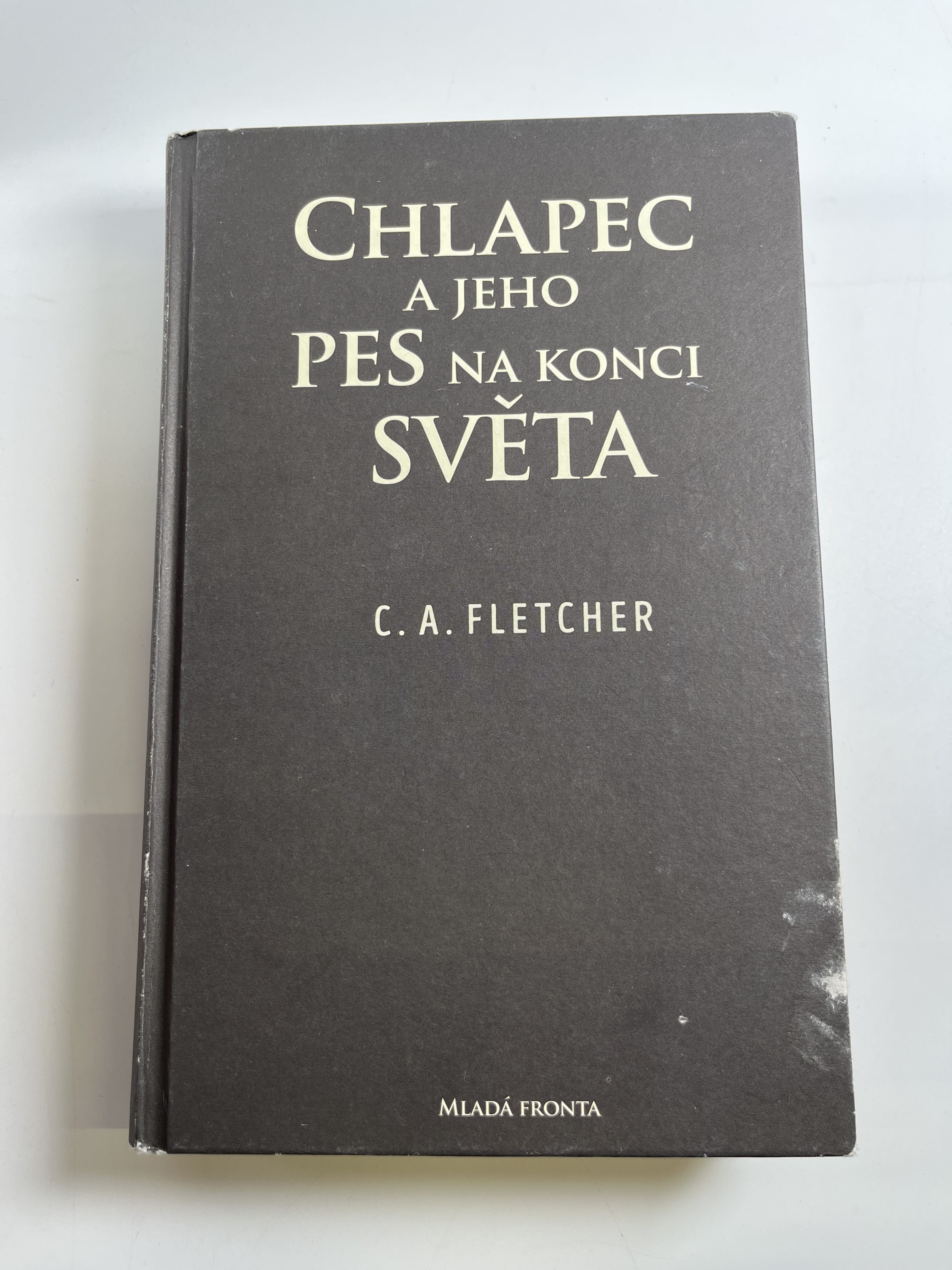 Chlapec a jeho pes na konci světa Bez obálky