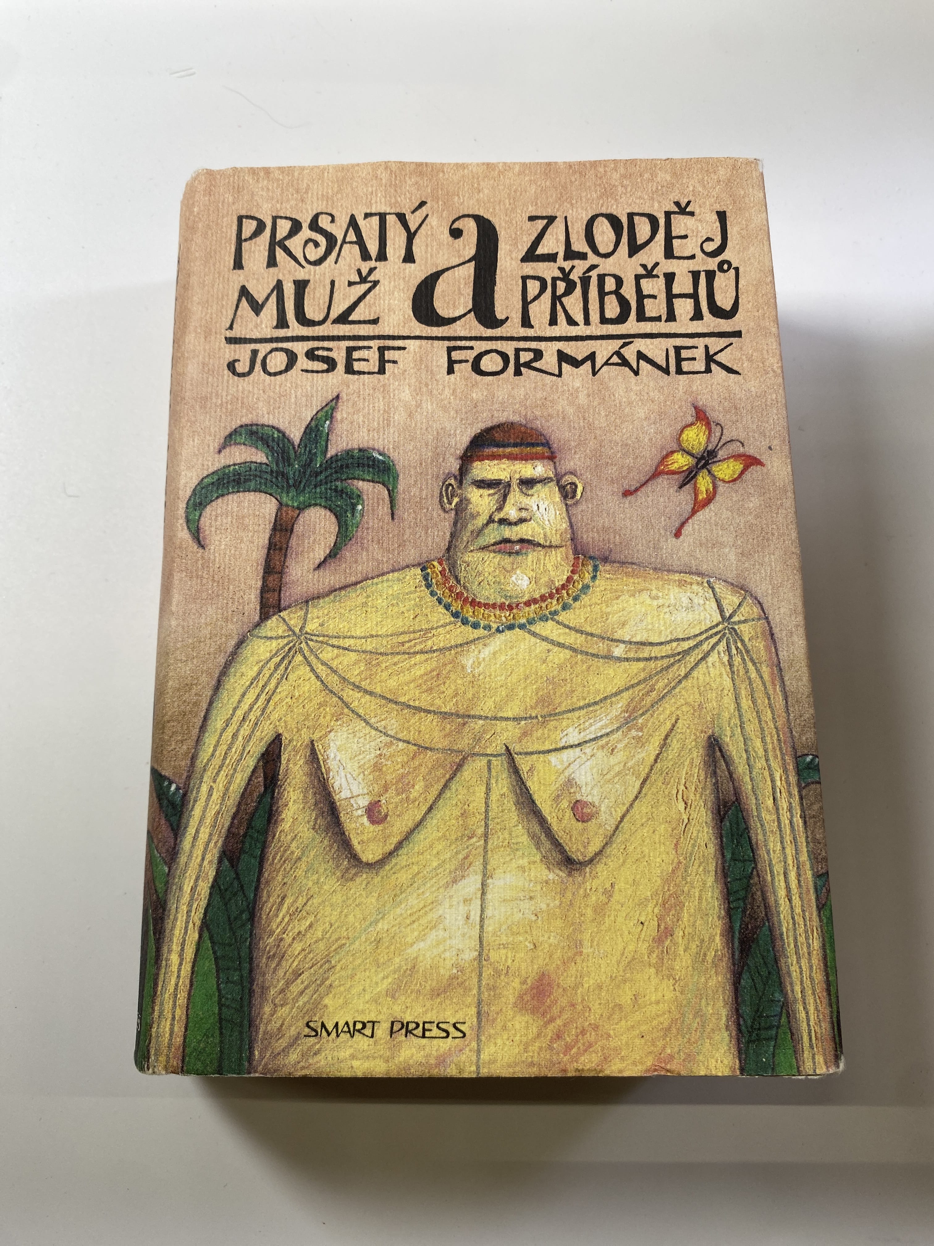 Prsatý muž a zloděj příběhů Pevná (2007 2)