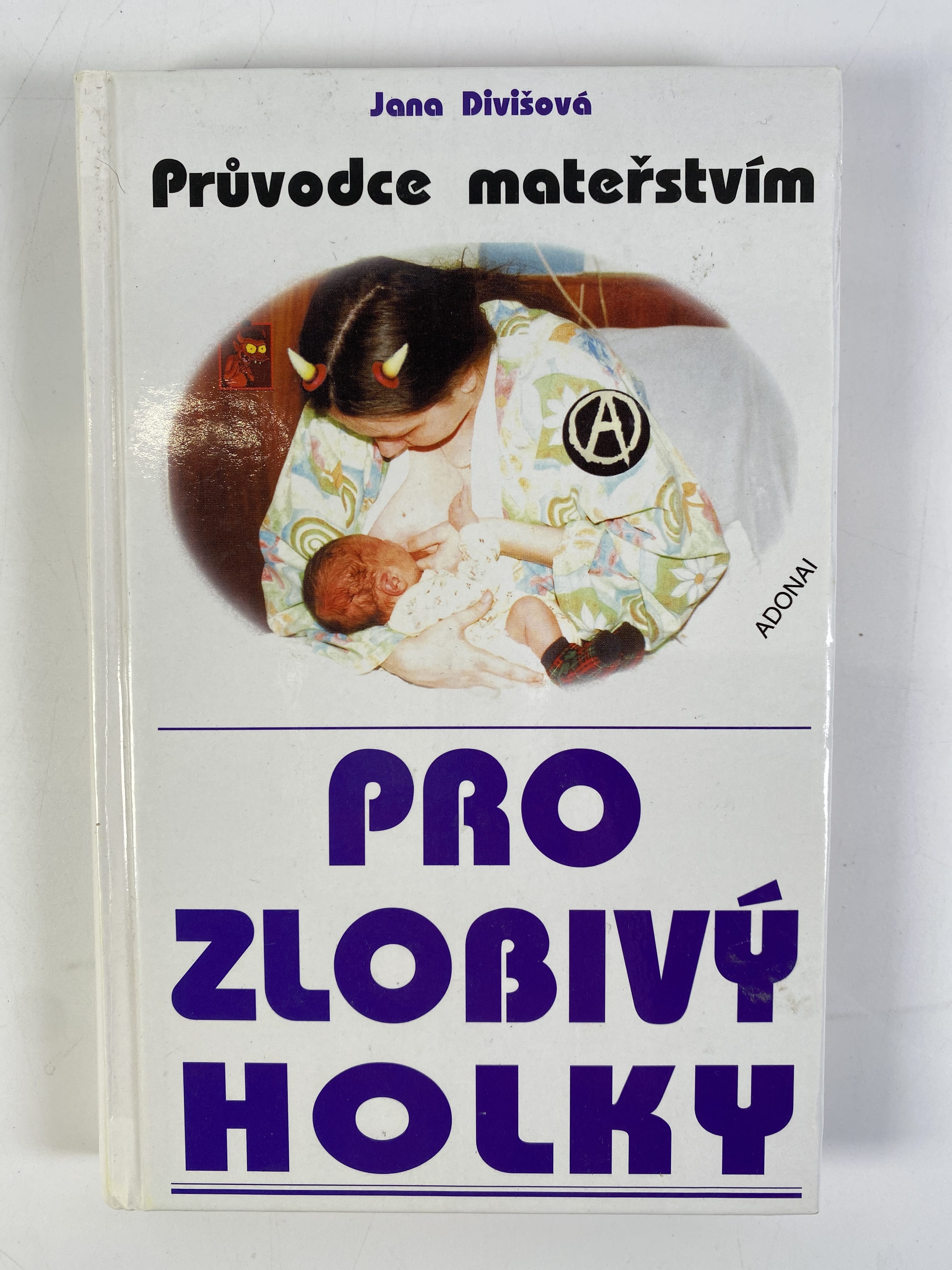 Levně Průvodce mateřstvím pro zlobivý holky
