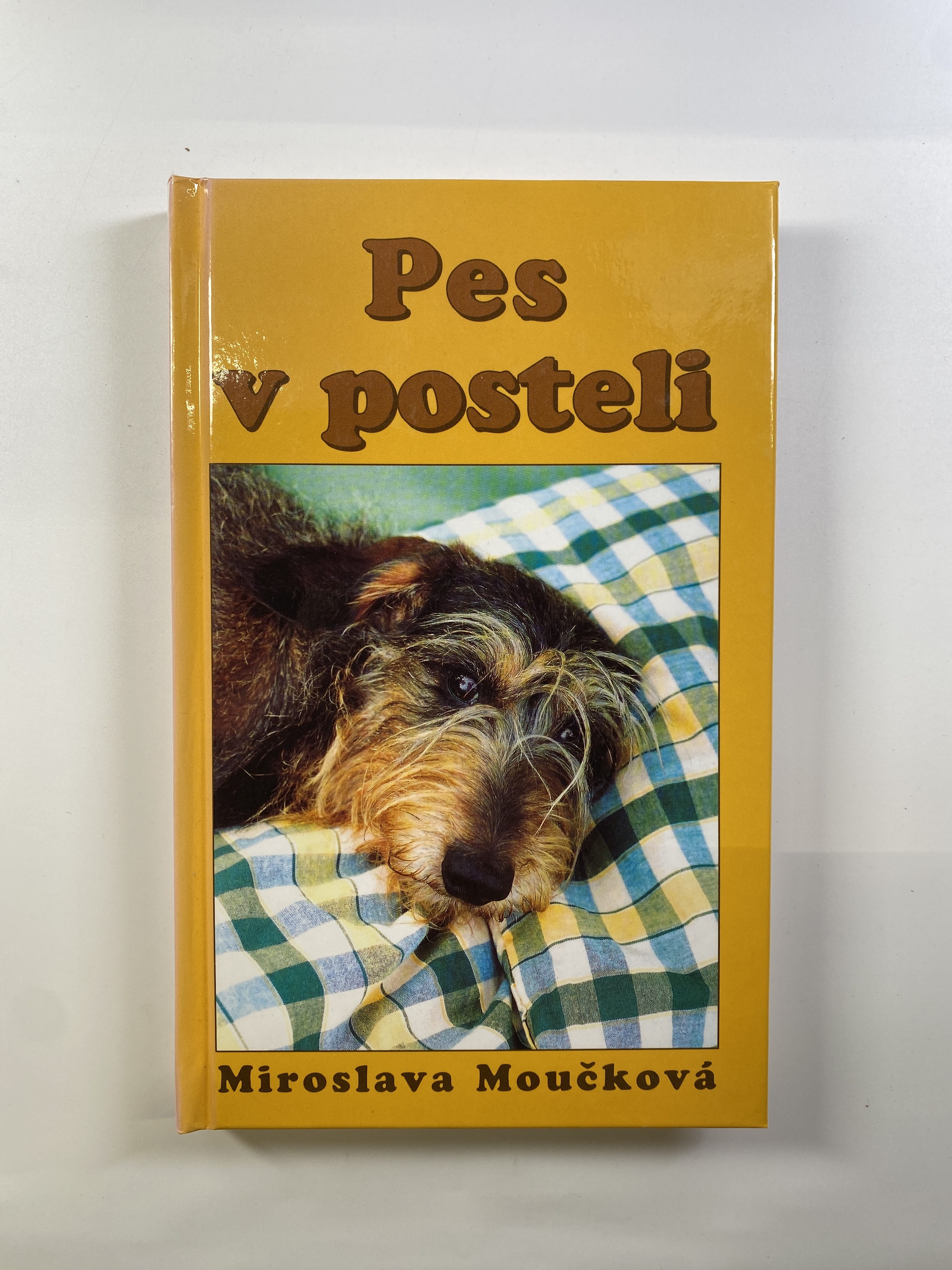 Pes v posteli Pevná (2002)