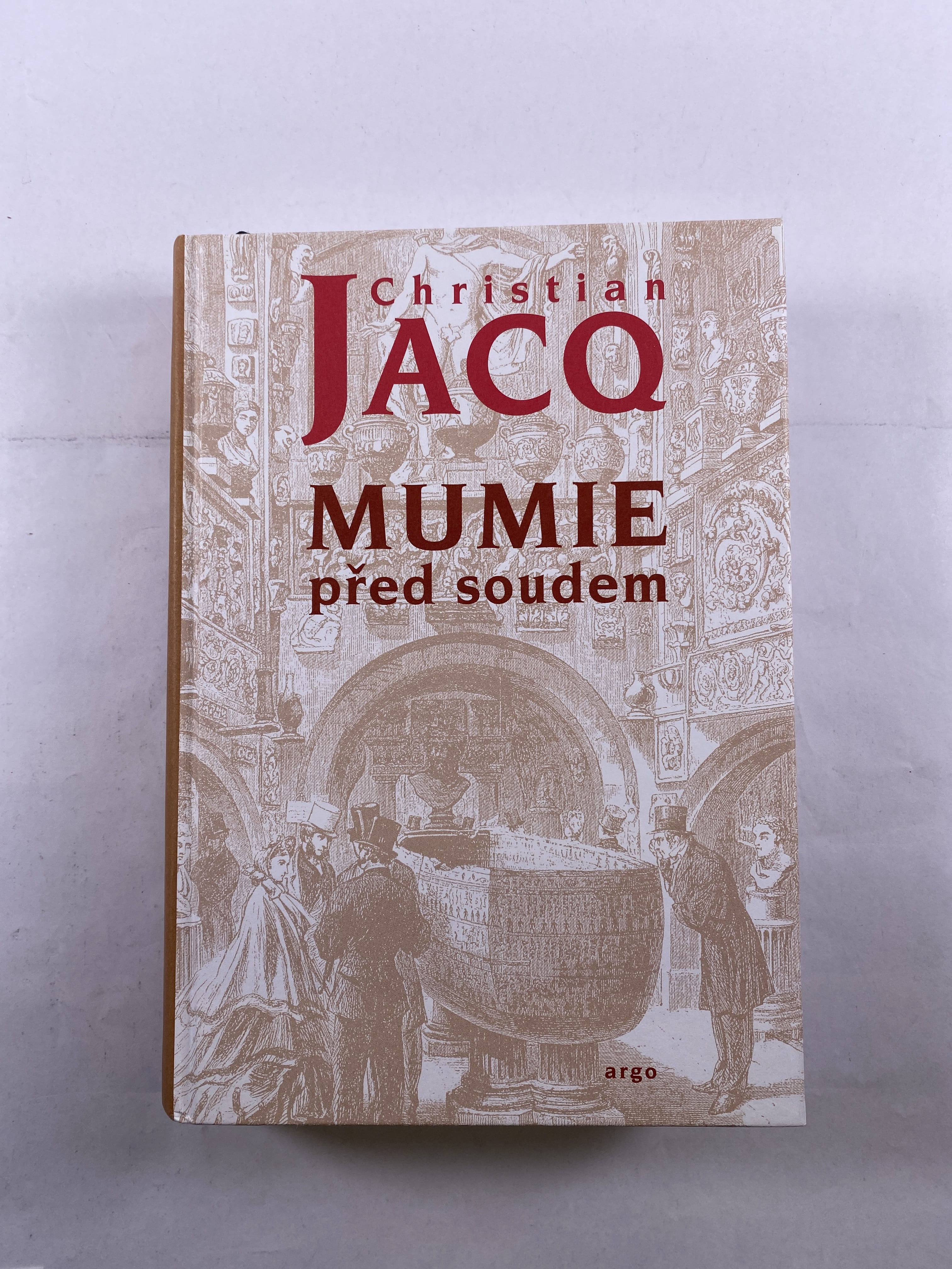Levně Mumie před soudem Pevná (2010 - bez obalu)