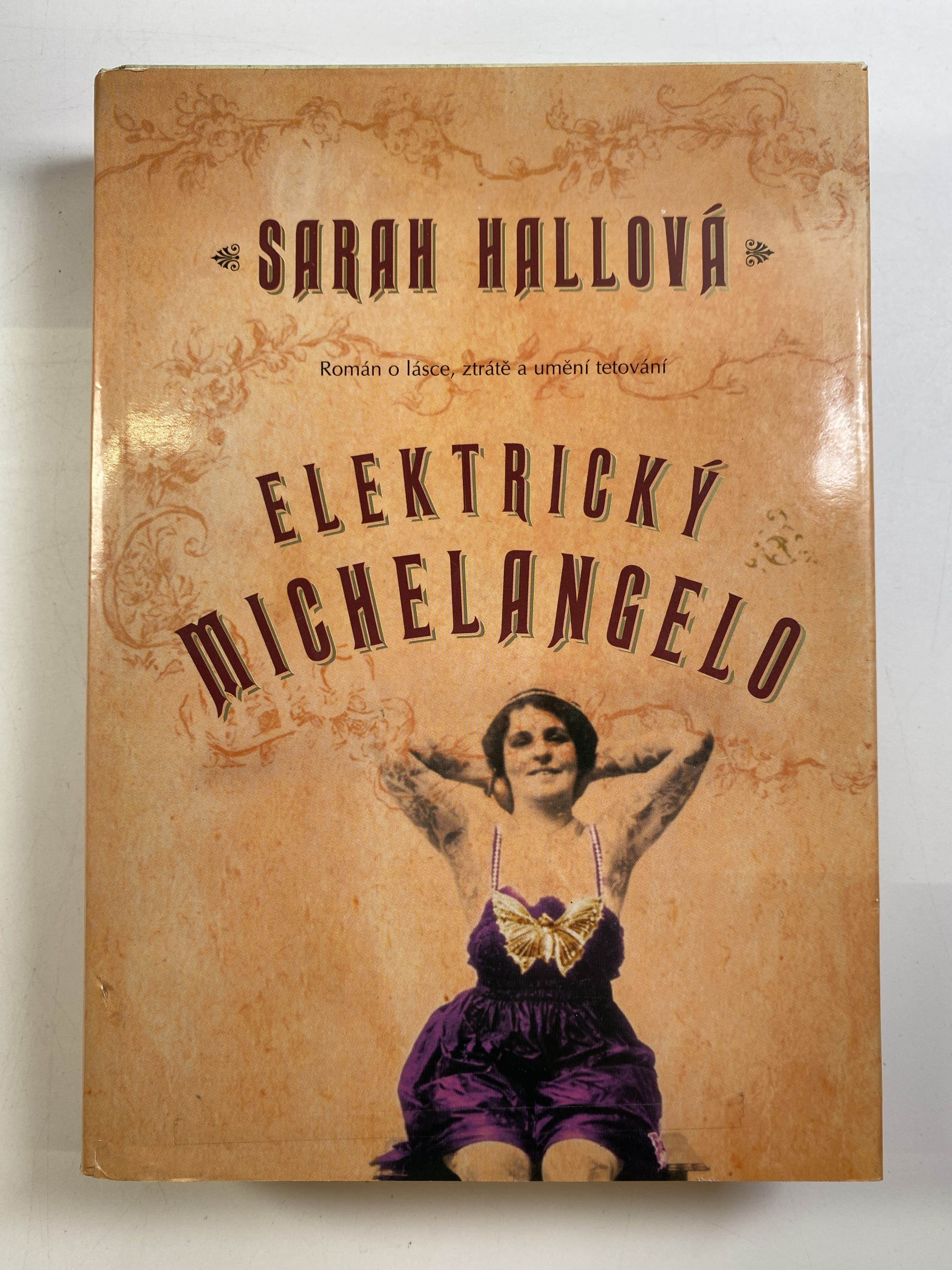 Elektrický Michelangelo: [román o lásce, ztrátě a umění tetování]