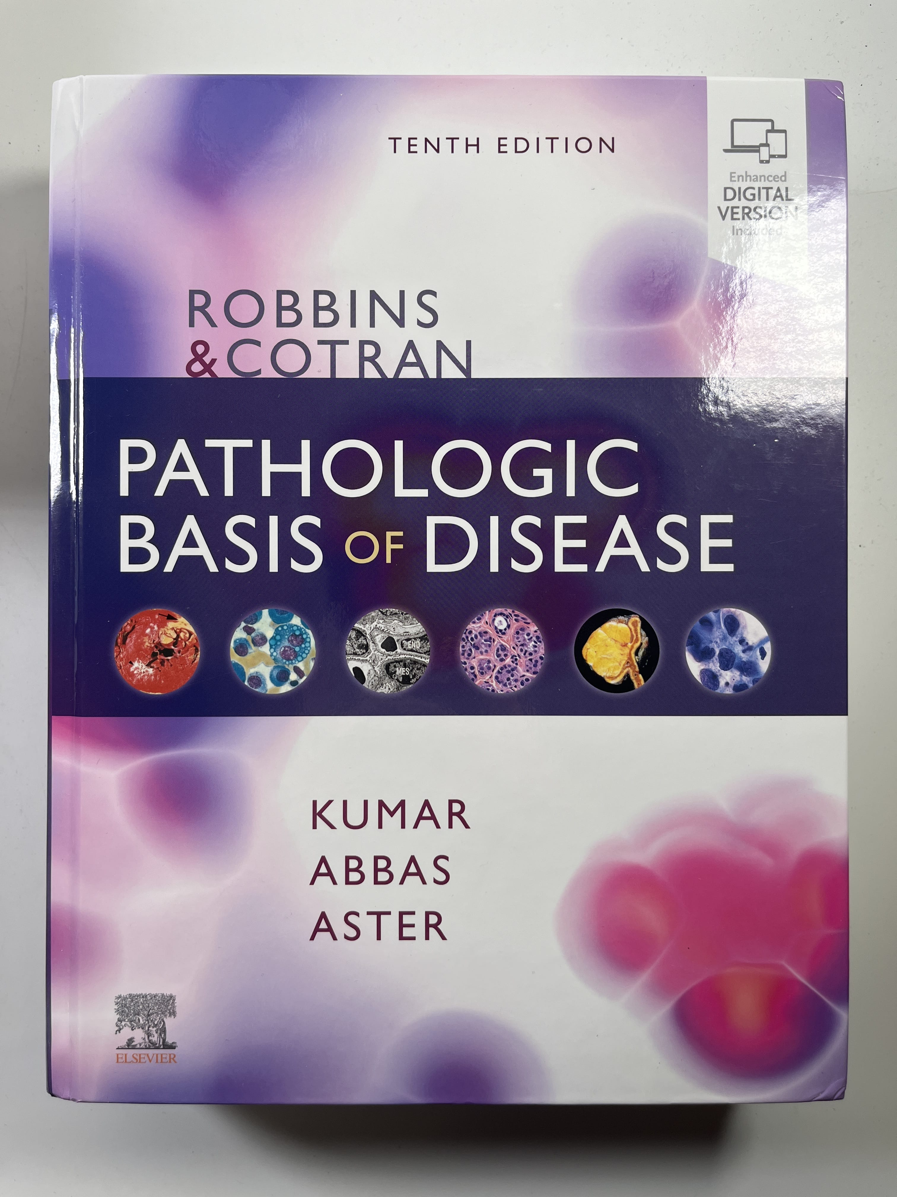 Levně Pathologic Basis of Disease (2021)