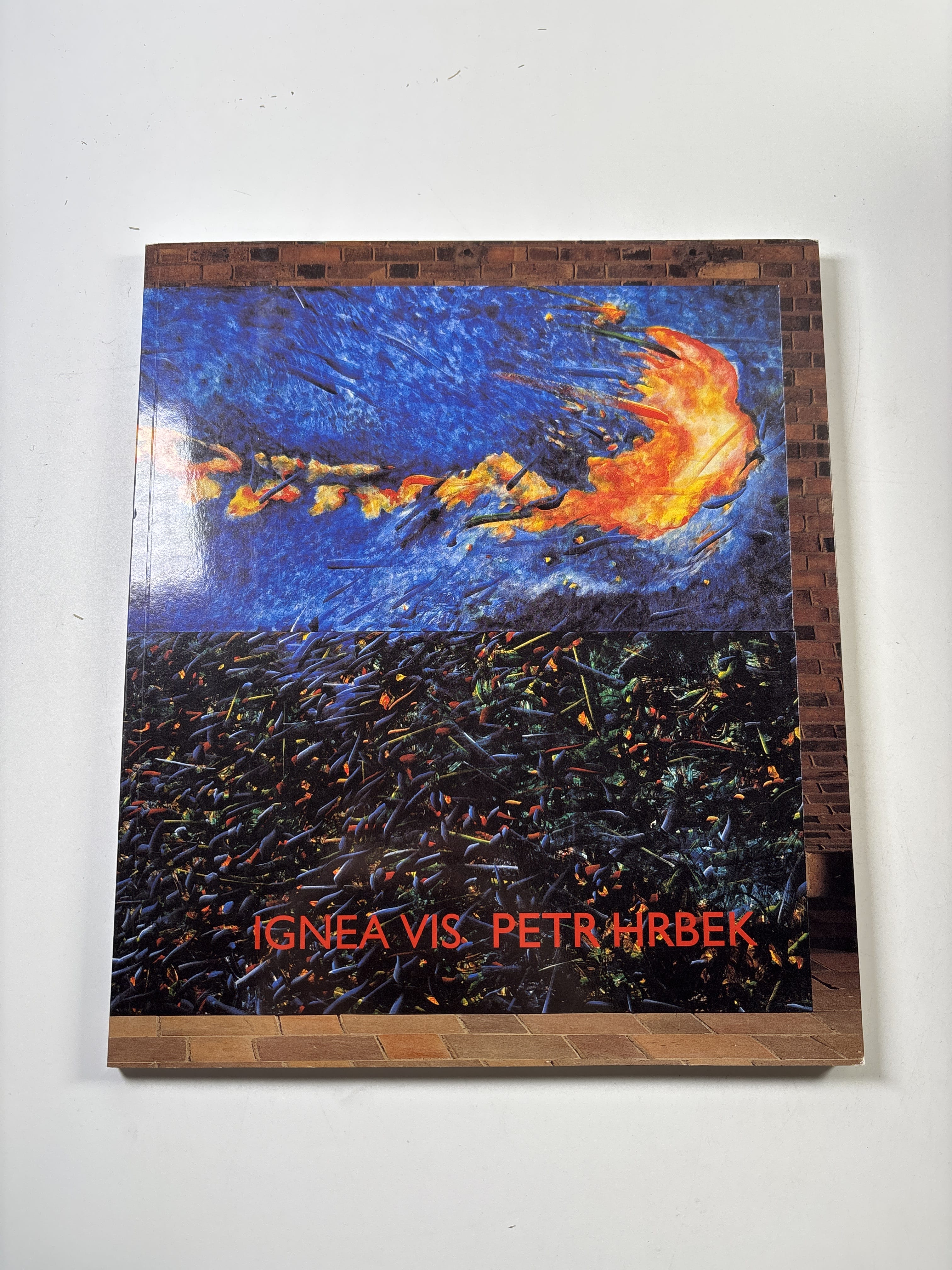 Petr Hrbek: ignea vis : [Galerie výtvarného umění v Mostě, Děkanský chrám Nanebevzetí Panny Marie : 17.12.2004-6.2.2005