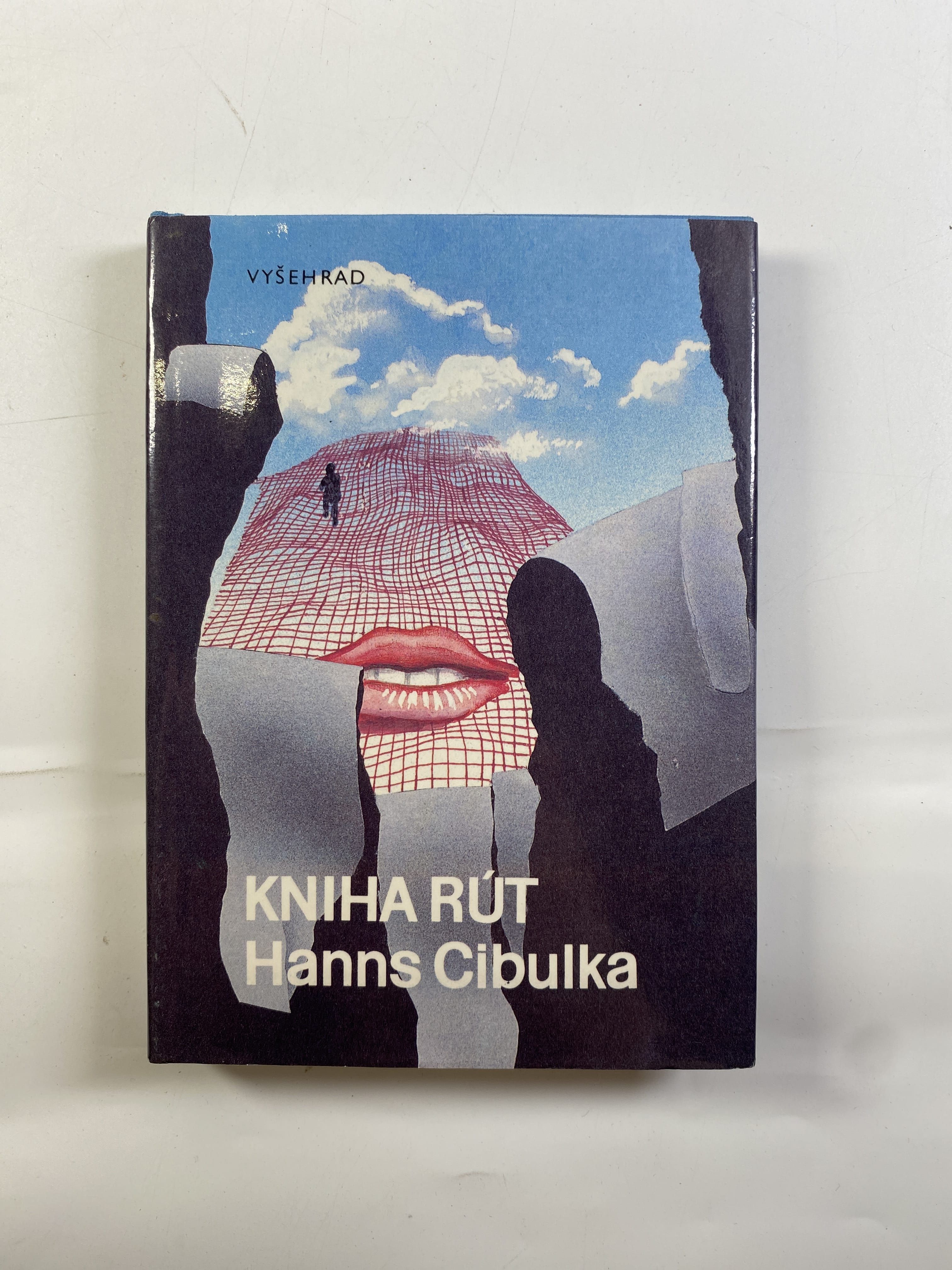 Kniha Rút: ze zápisků archeologa Michaela S.