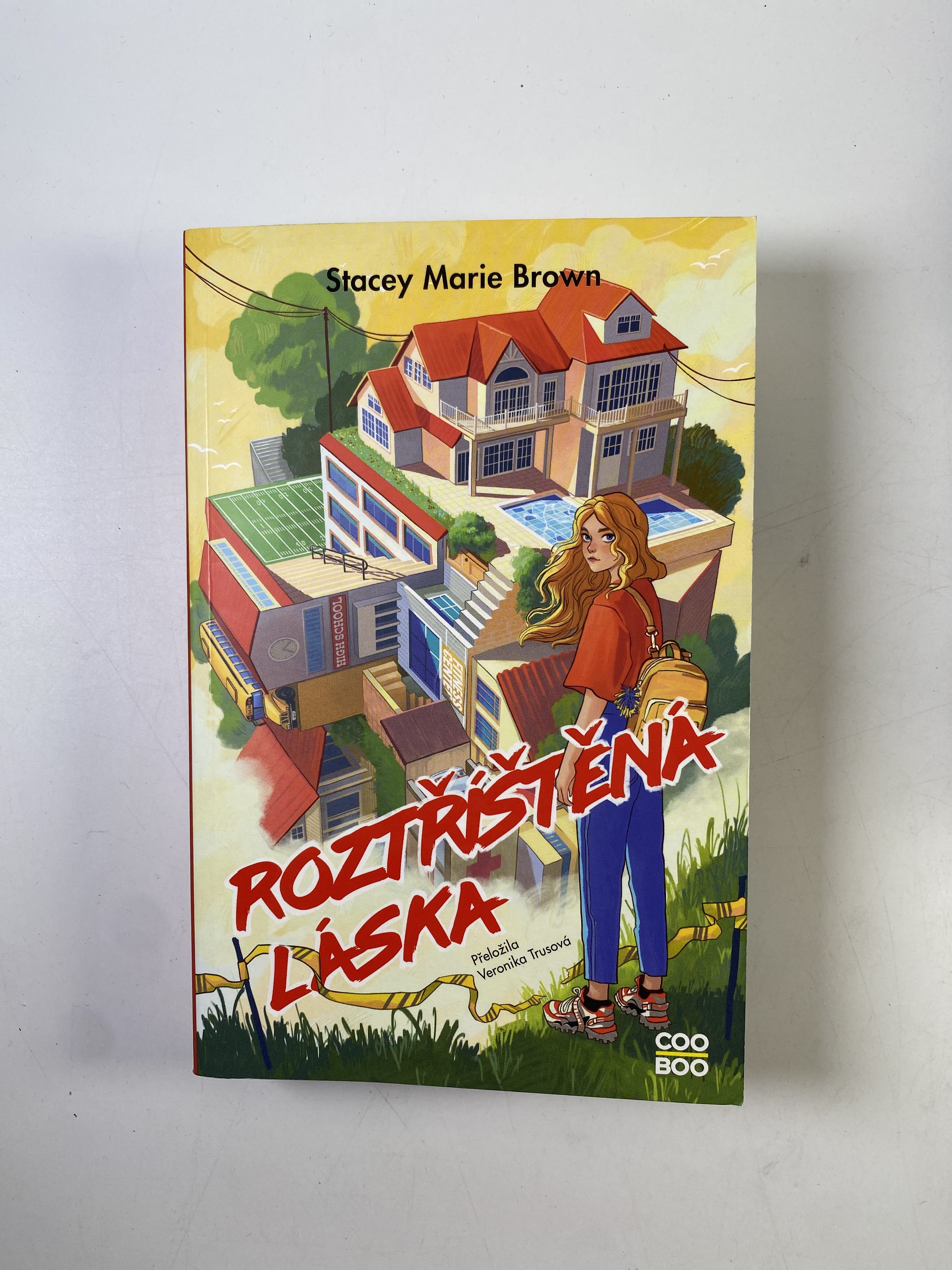 Roztříštěná láska