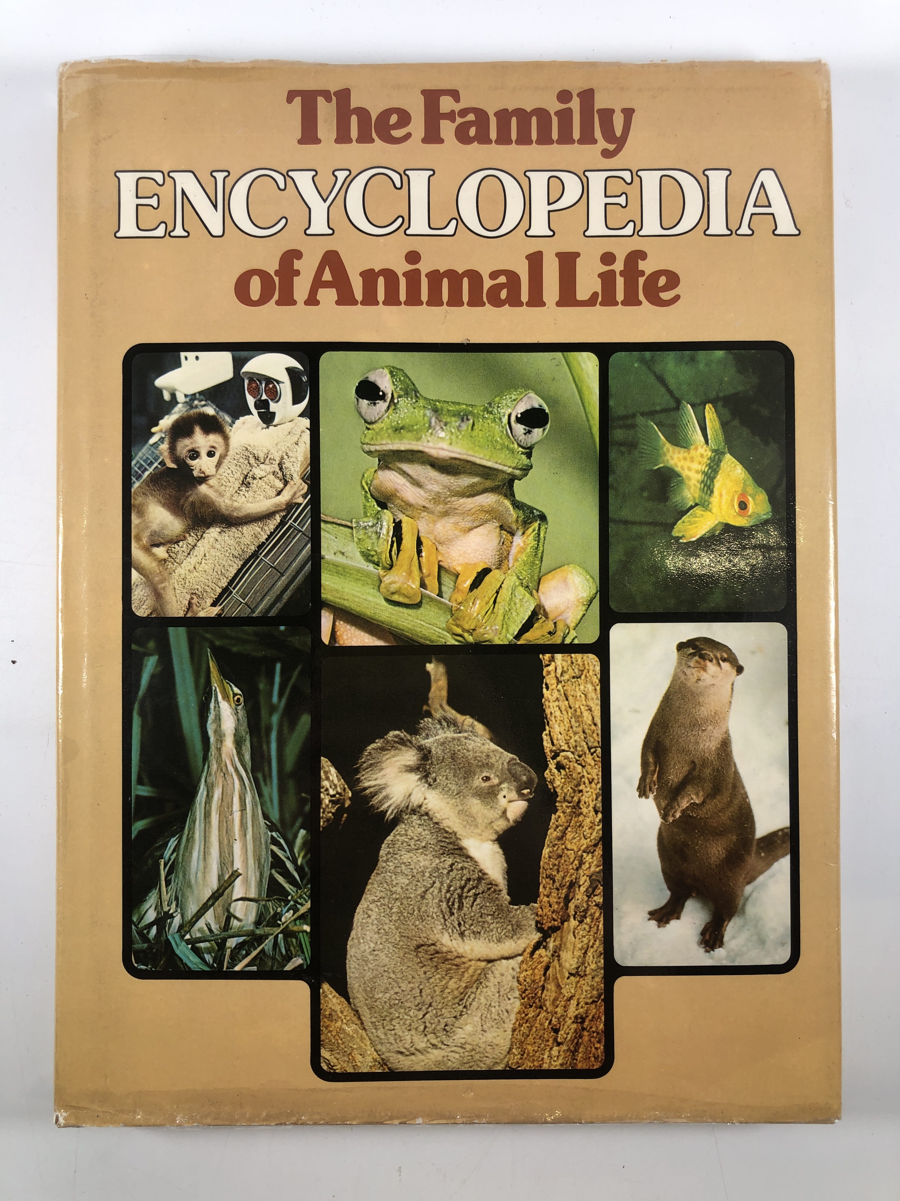 Levně The Family Encyclopedia of Animal Life