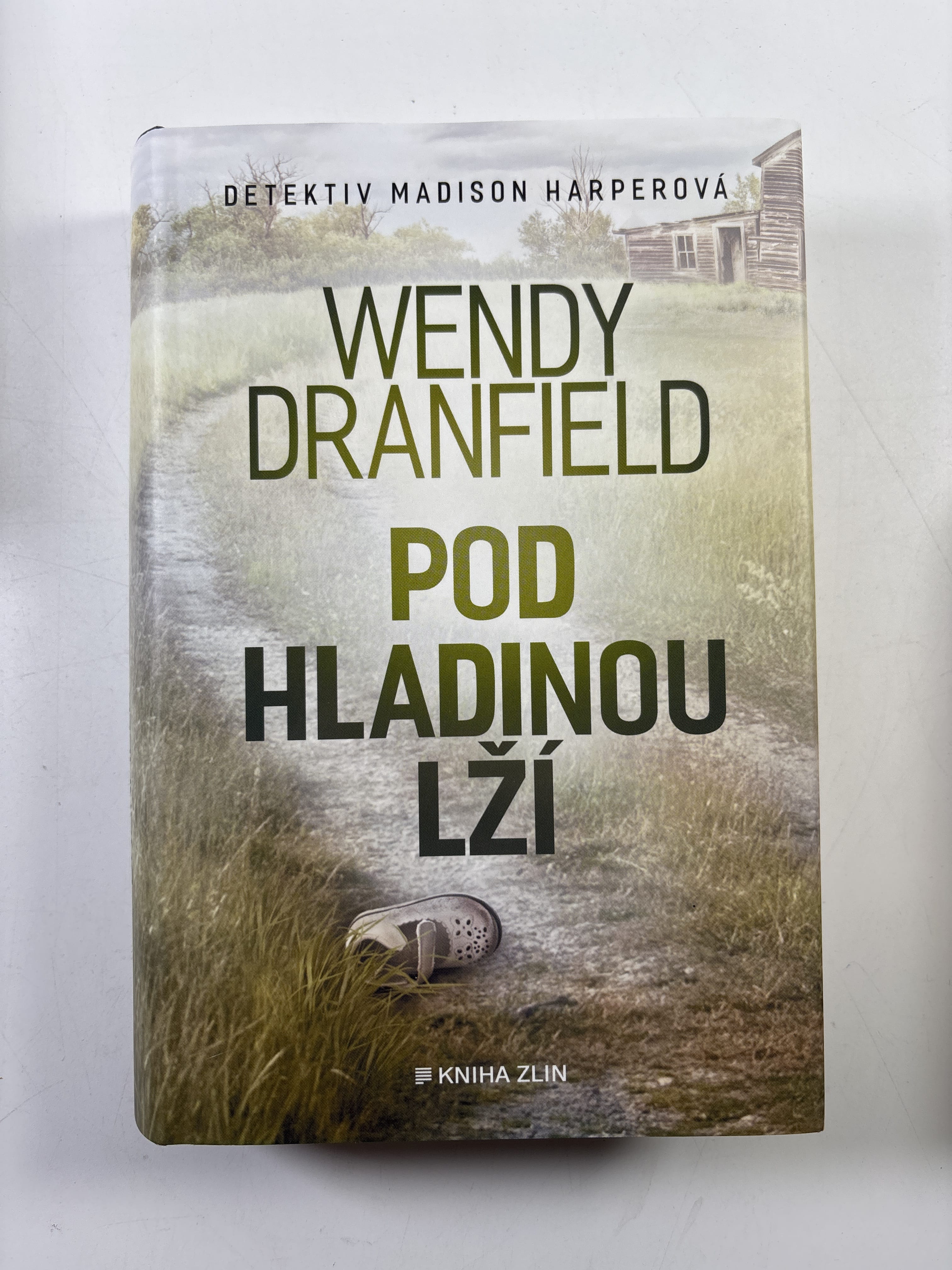 Levně Pod hladinou lží