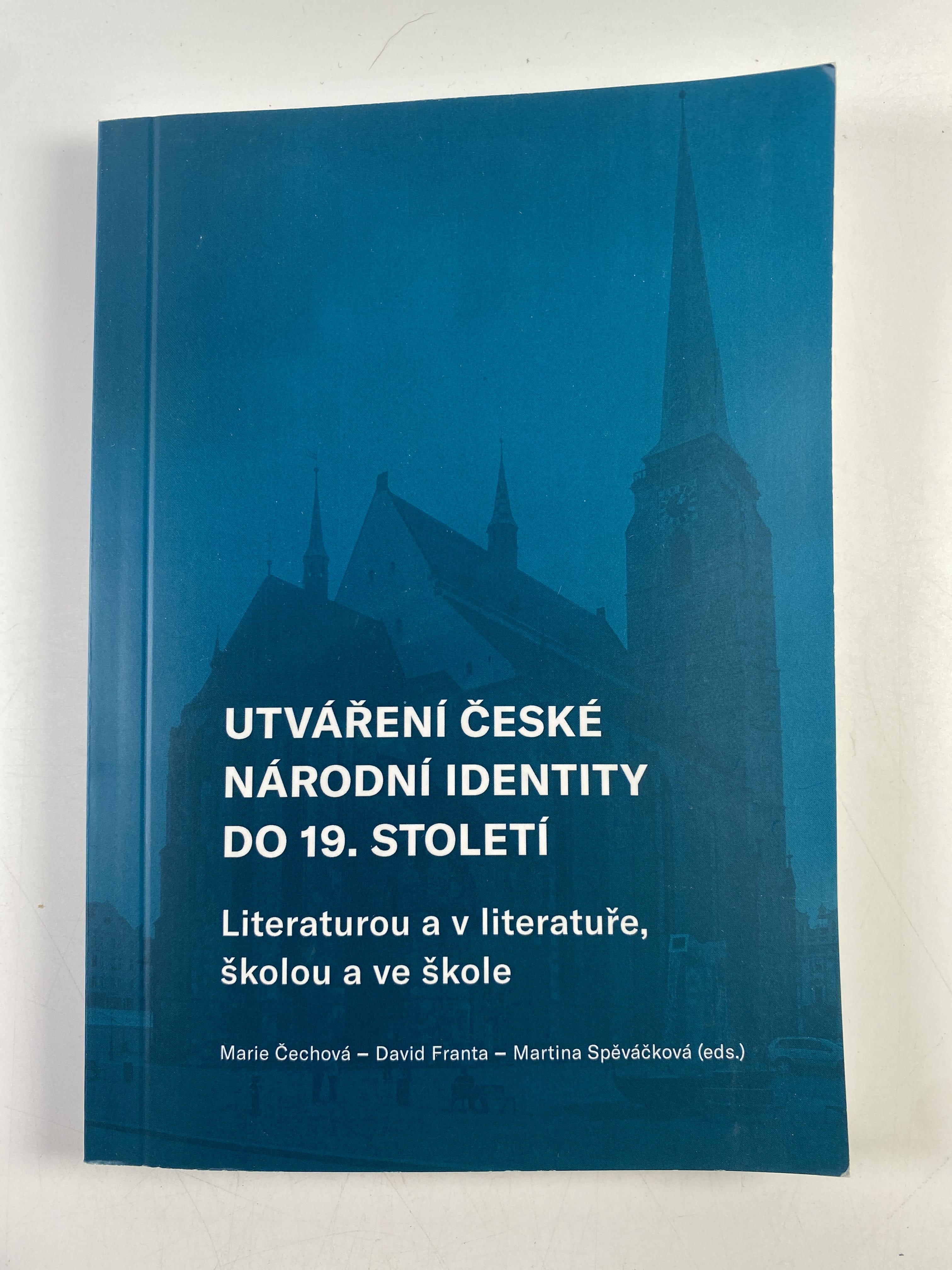 Levně Utváření české národní identity do 19. století