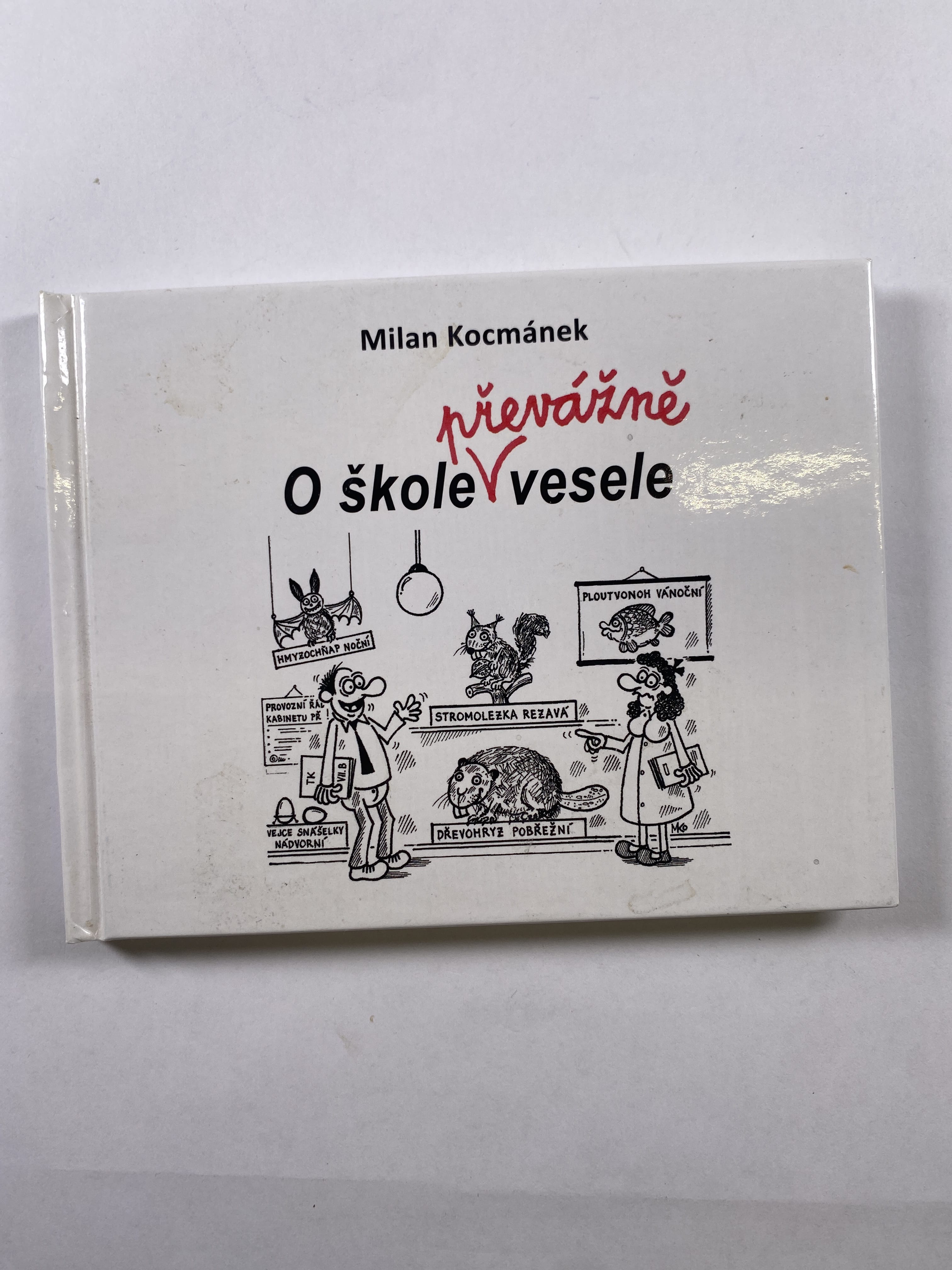 O škole převážně vesele